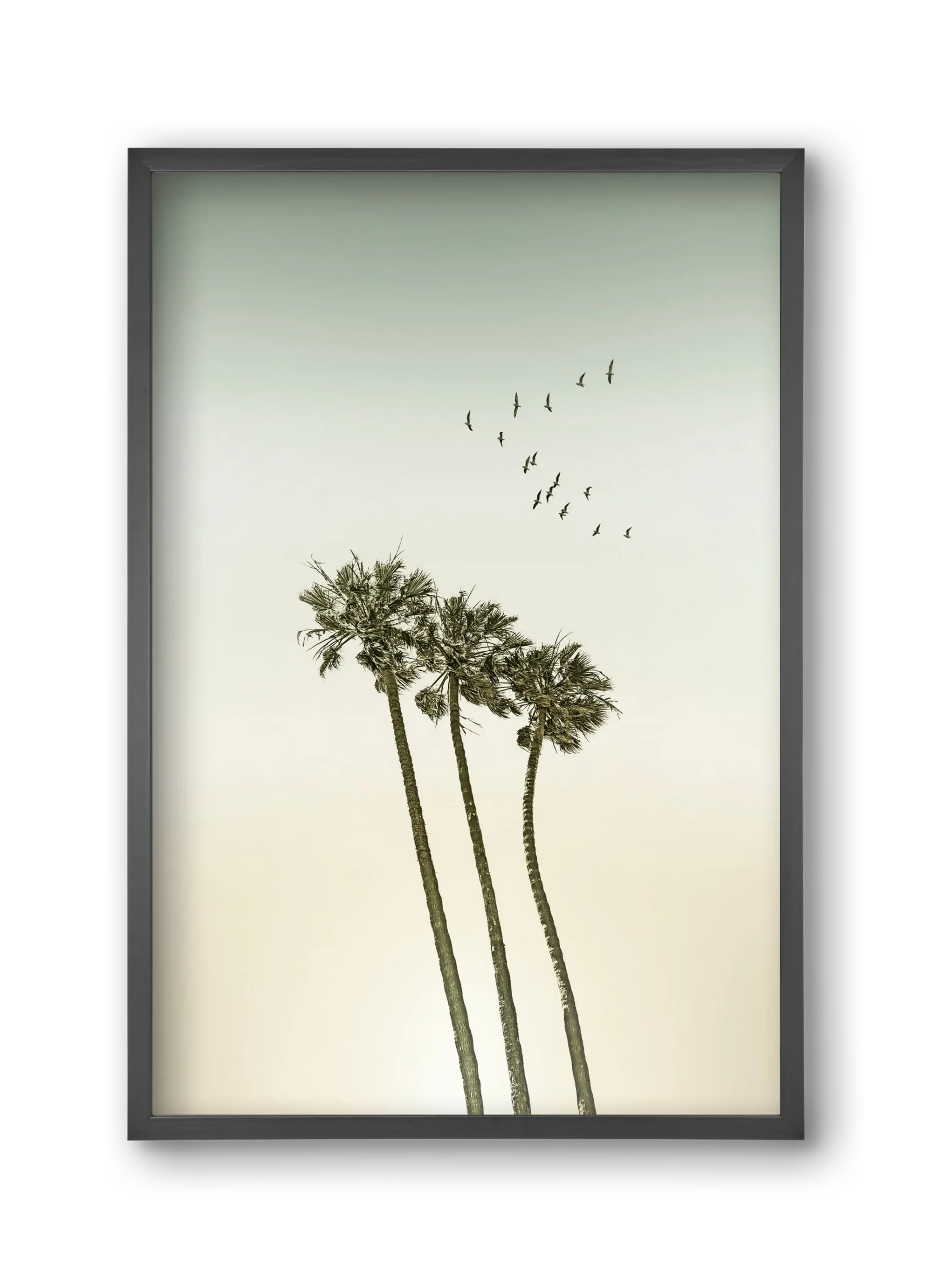 Vintage palm trees at sunset - artbridge