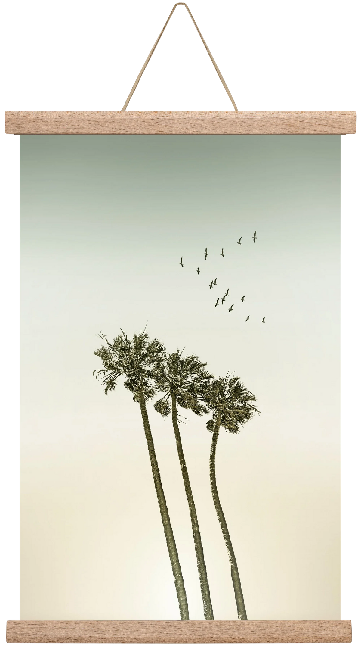 Vintage palm trees at sunset - artbridge