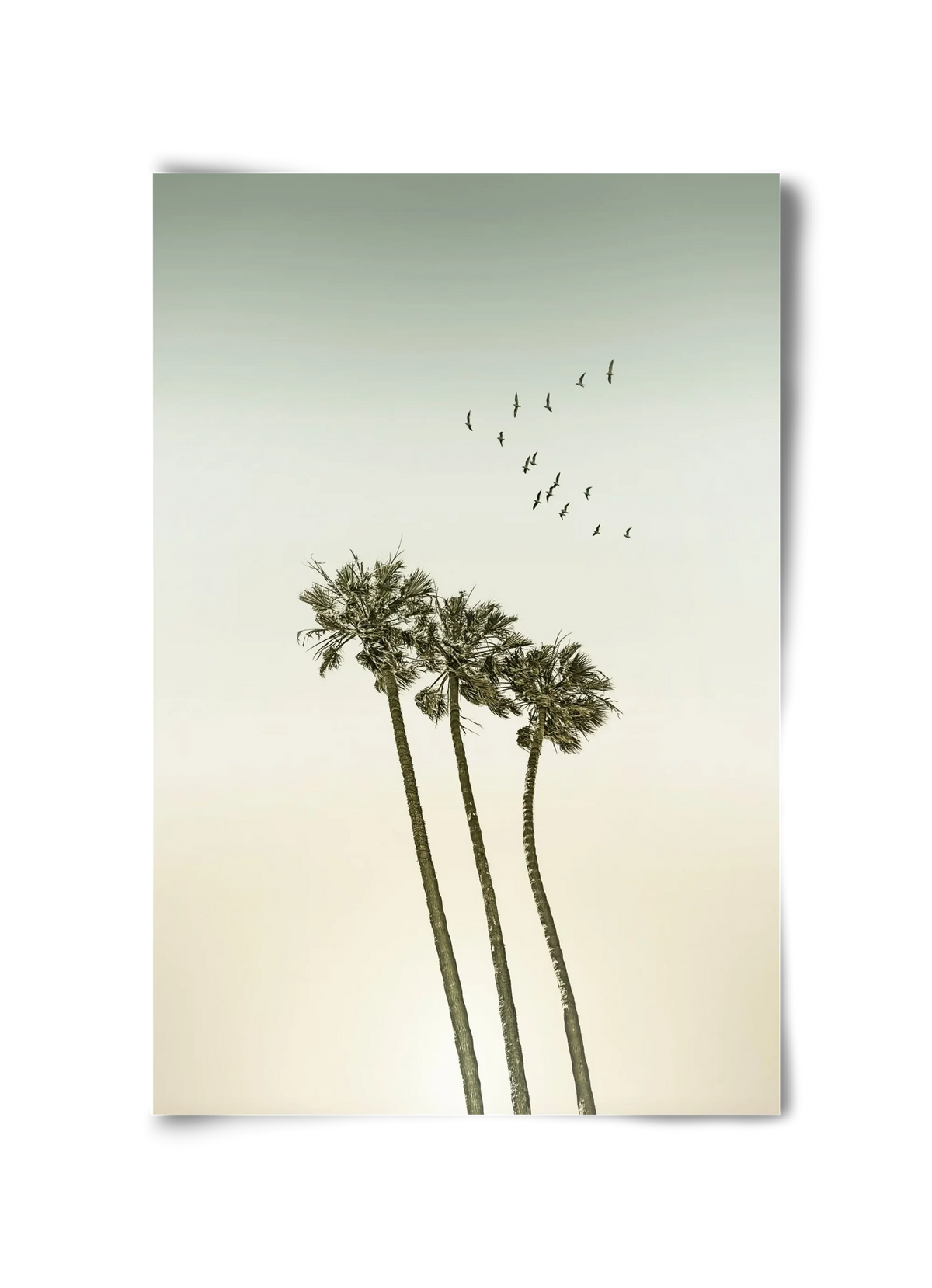Vintage palm trees at sunset - artbridge