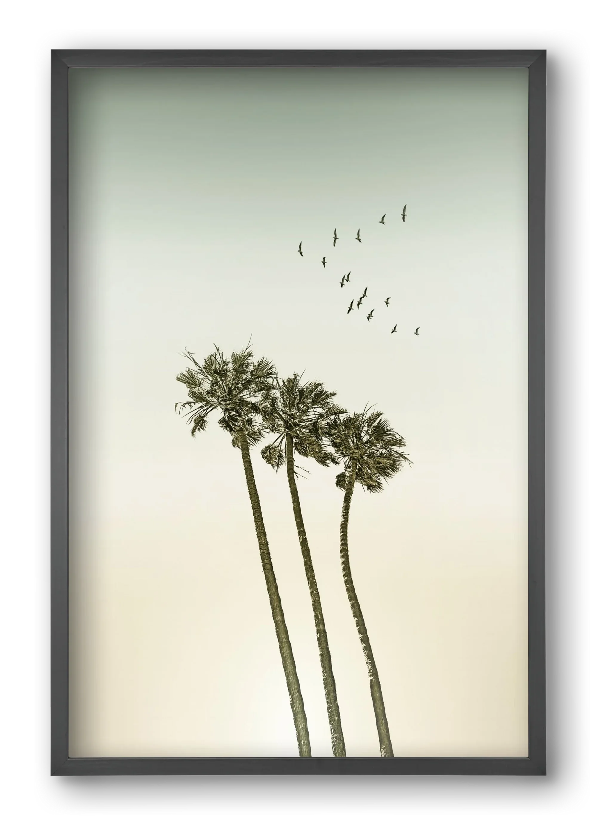 Vintage palm trees at sunset - artbridge