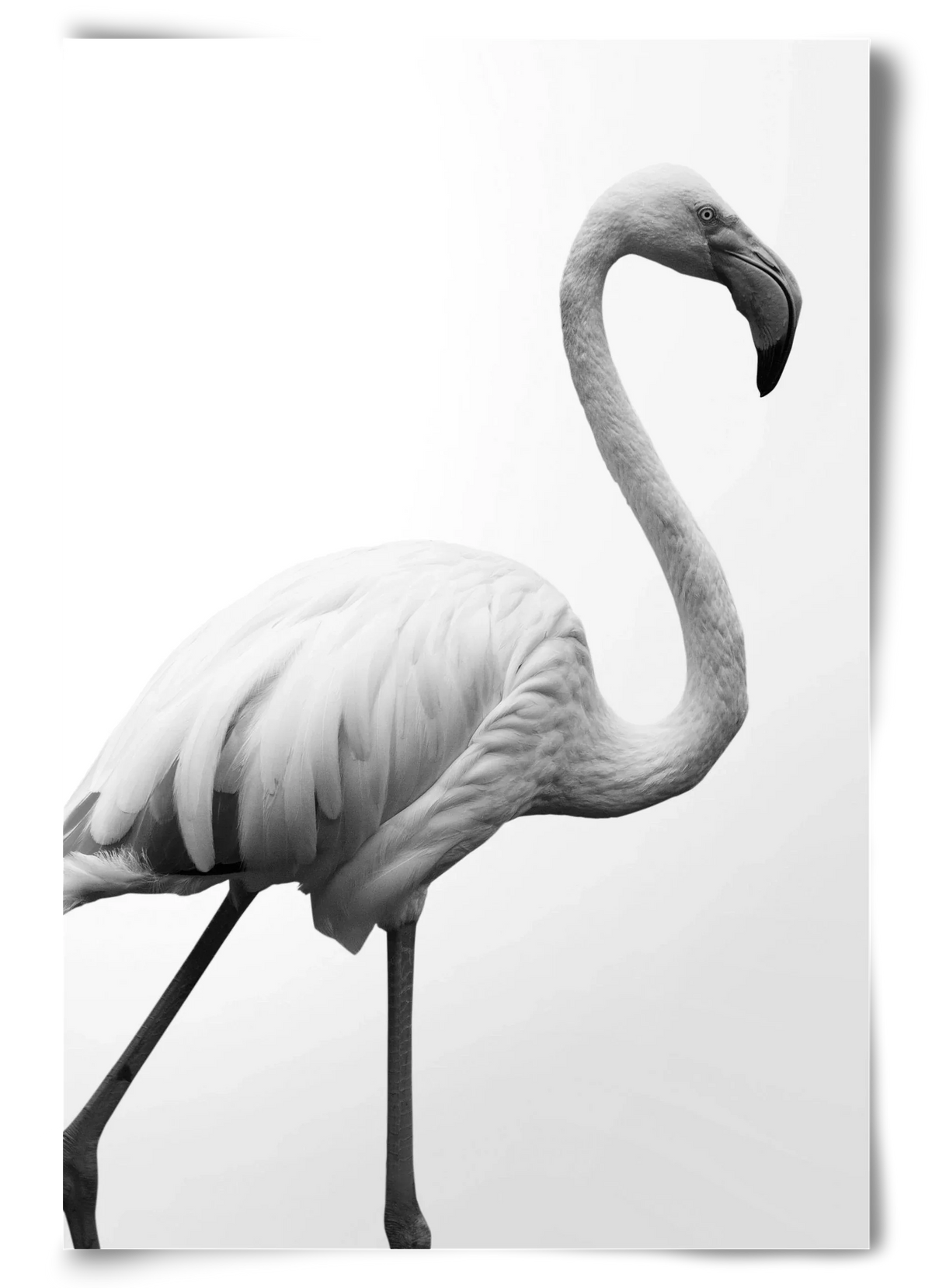 Dancer - artbridge