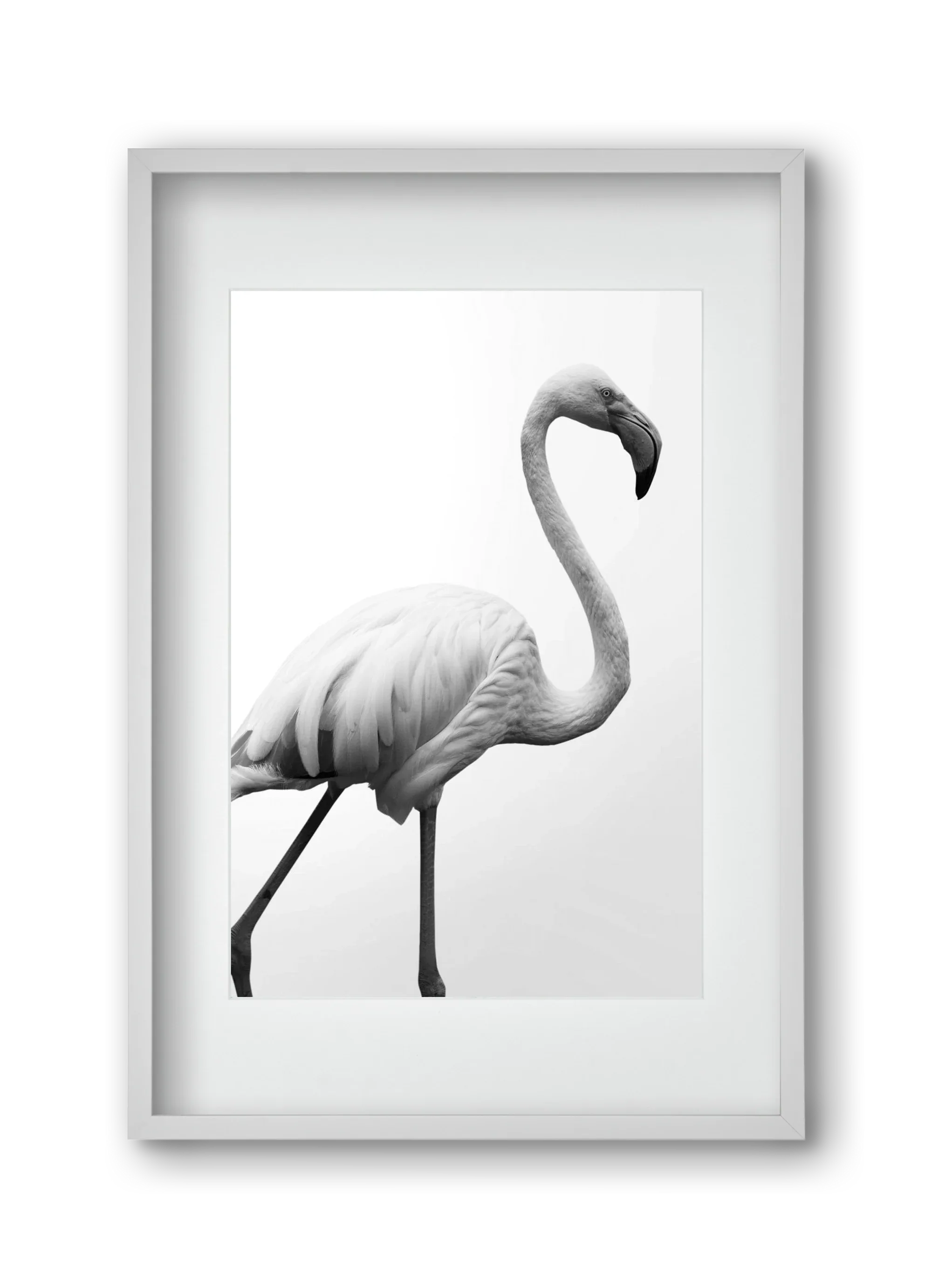 Dancer - artbridge