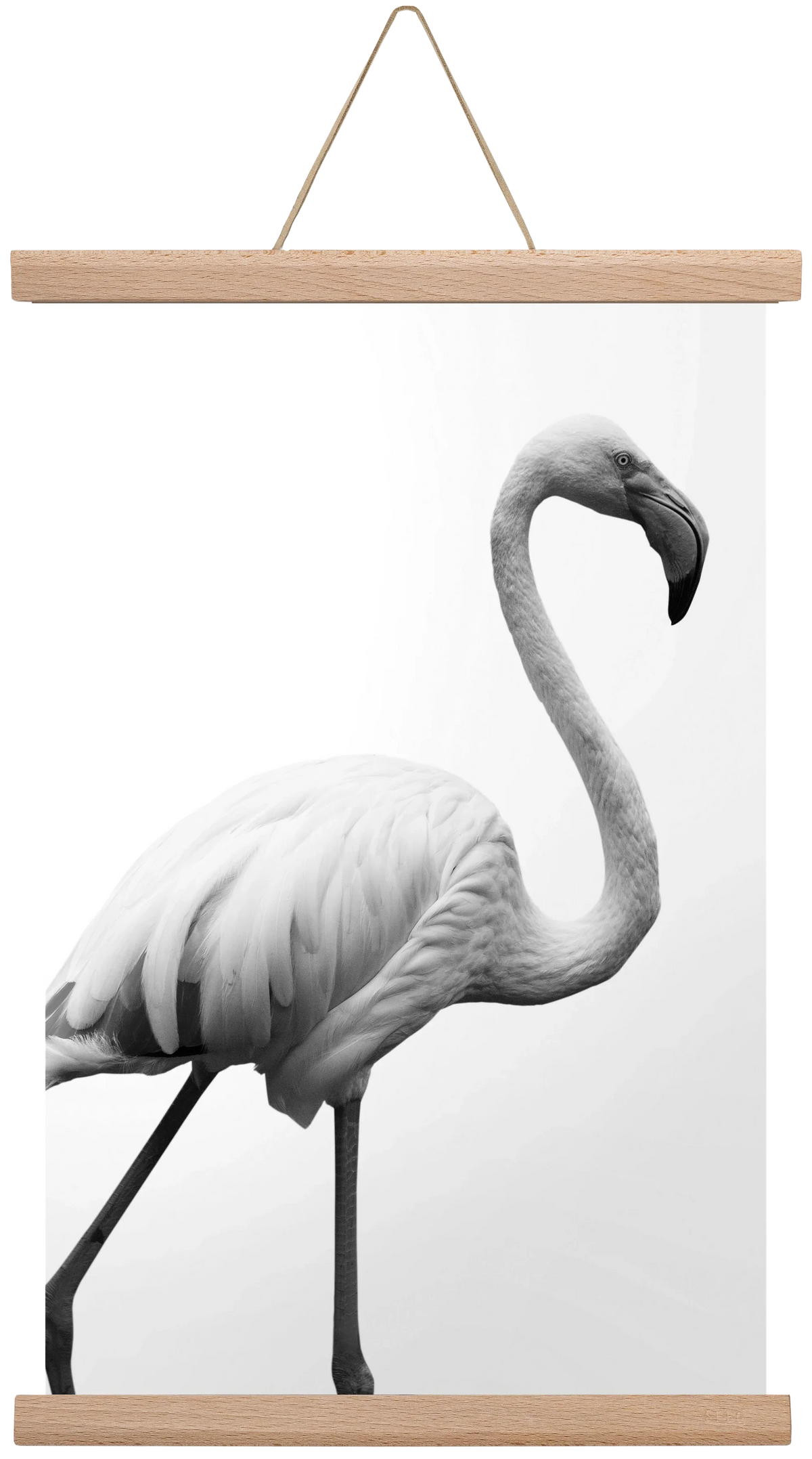 Dancer - artbridge