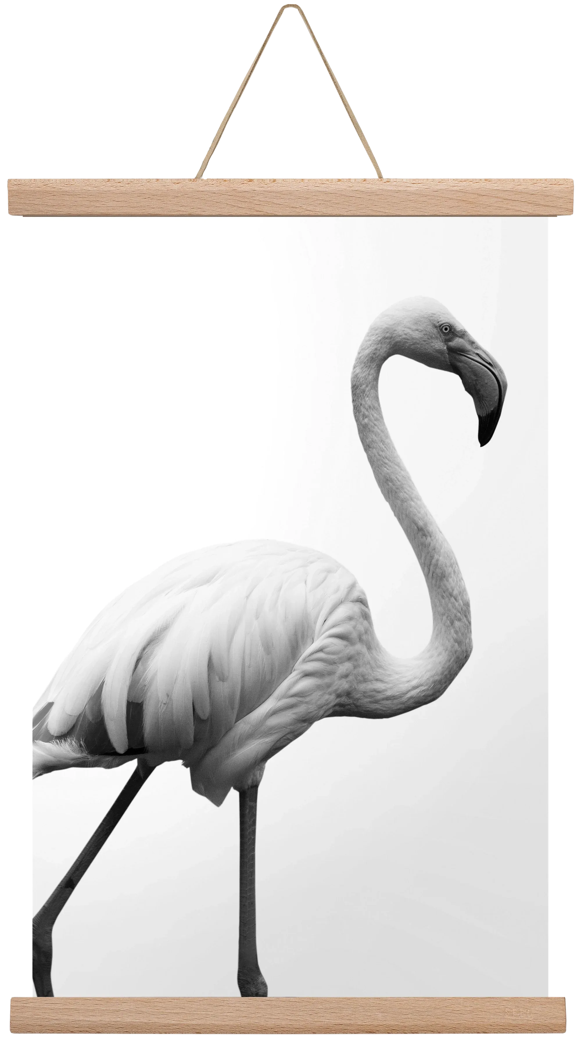 Dancer - artbridge