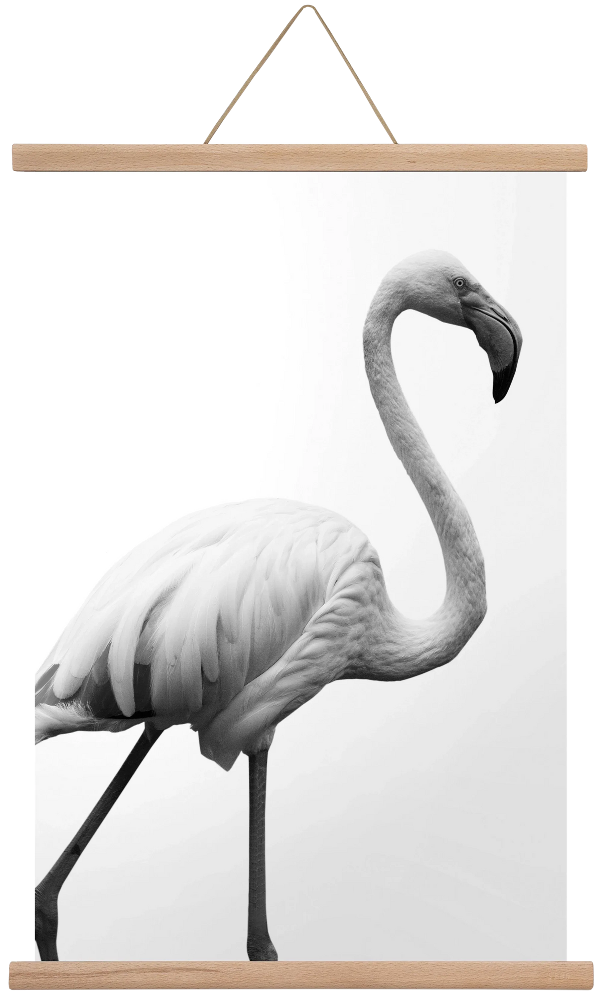 Dancer - artbridge