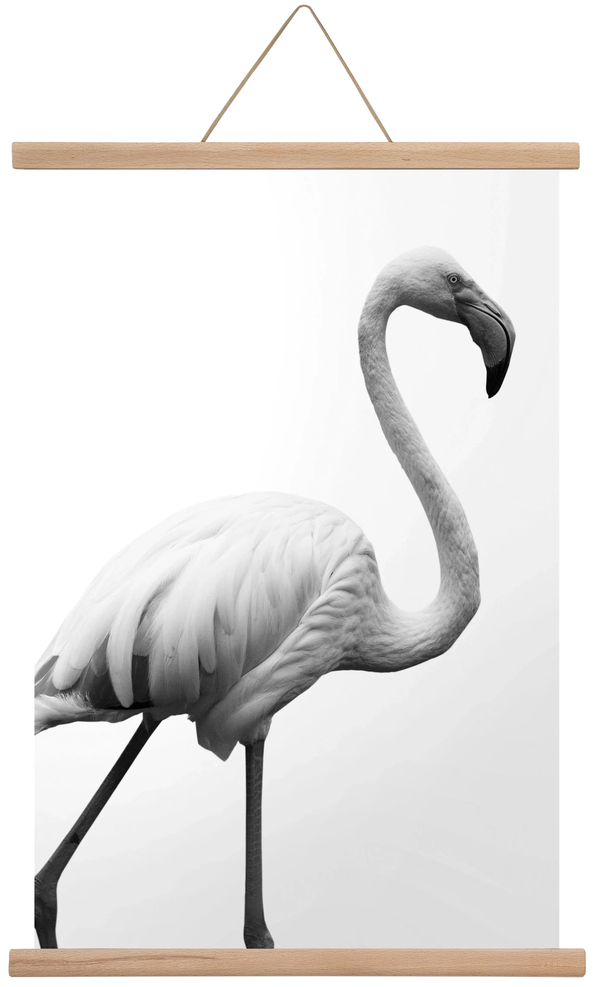 Dancer - artbridge