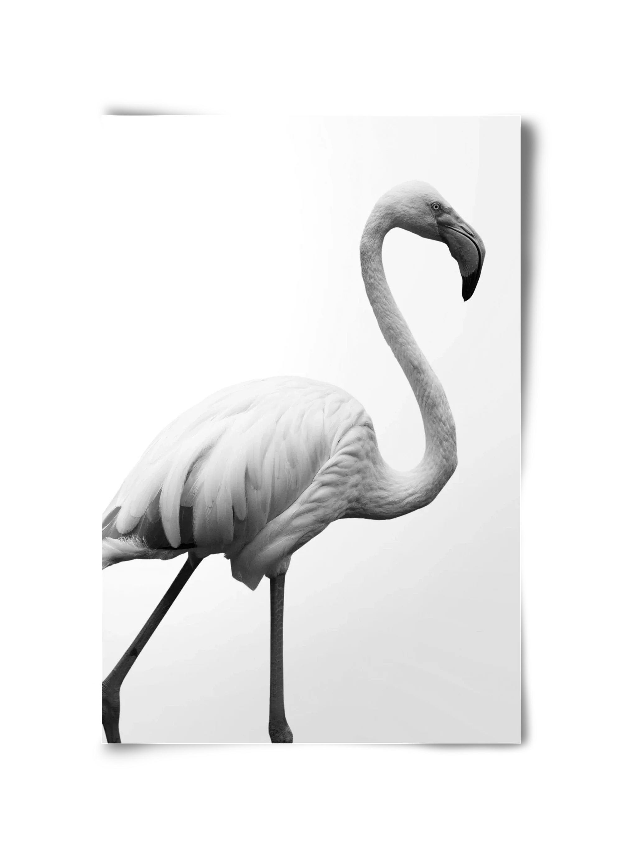 Dancer - artbridge