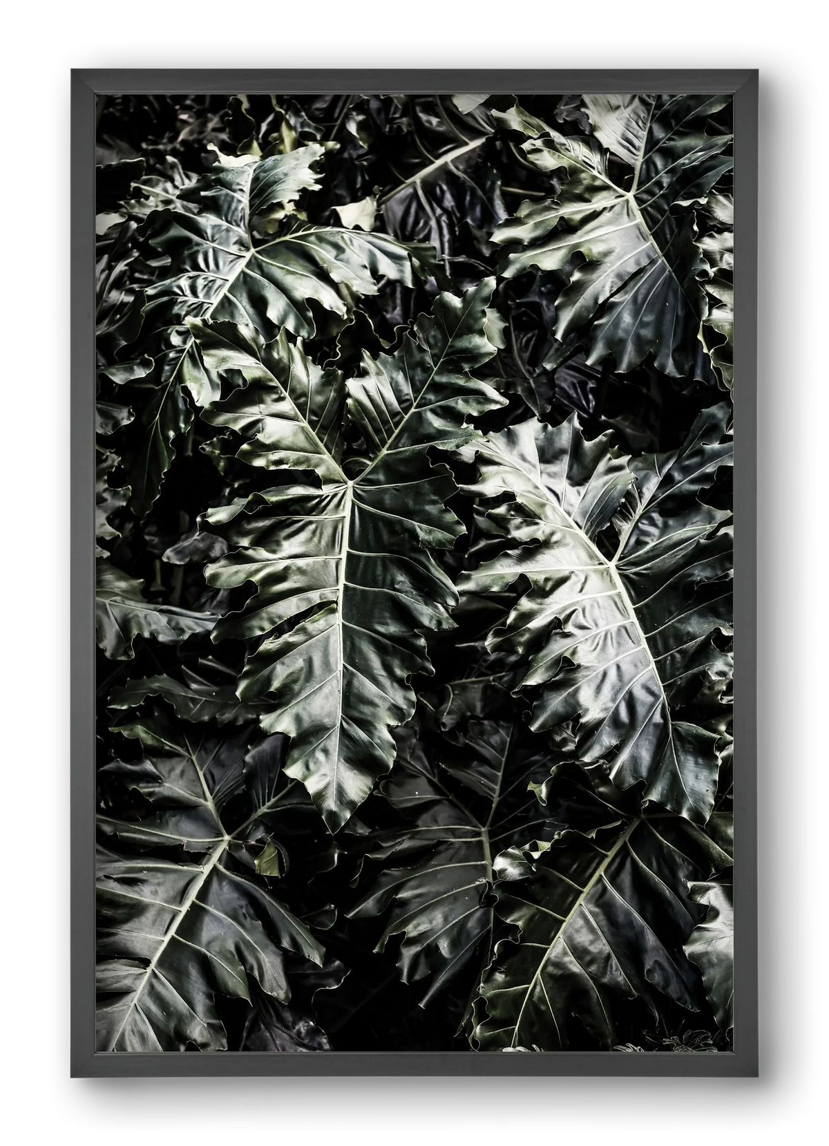 Monster - artbridge