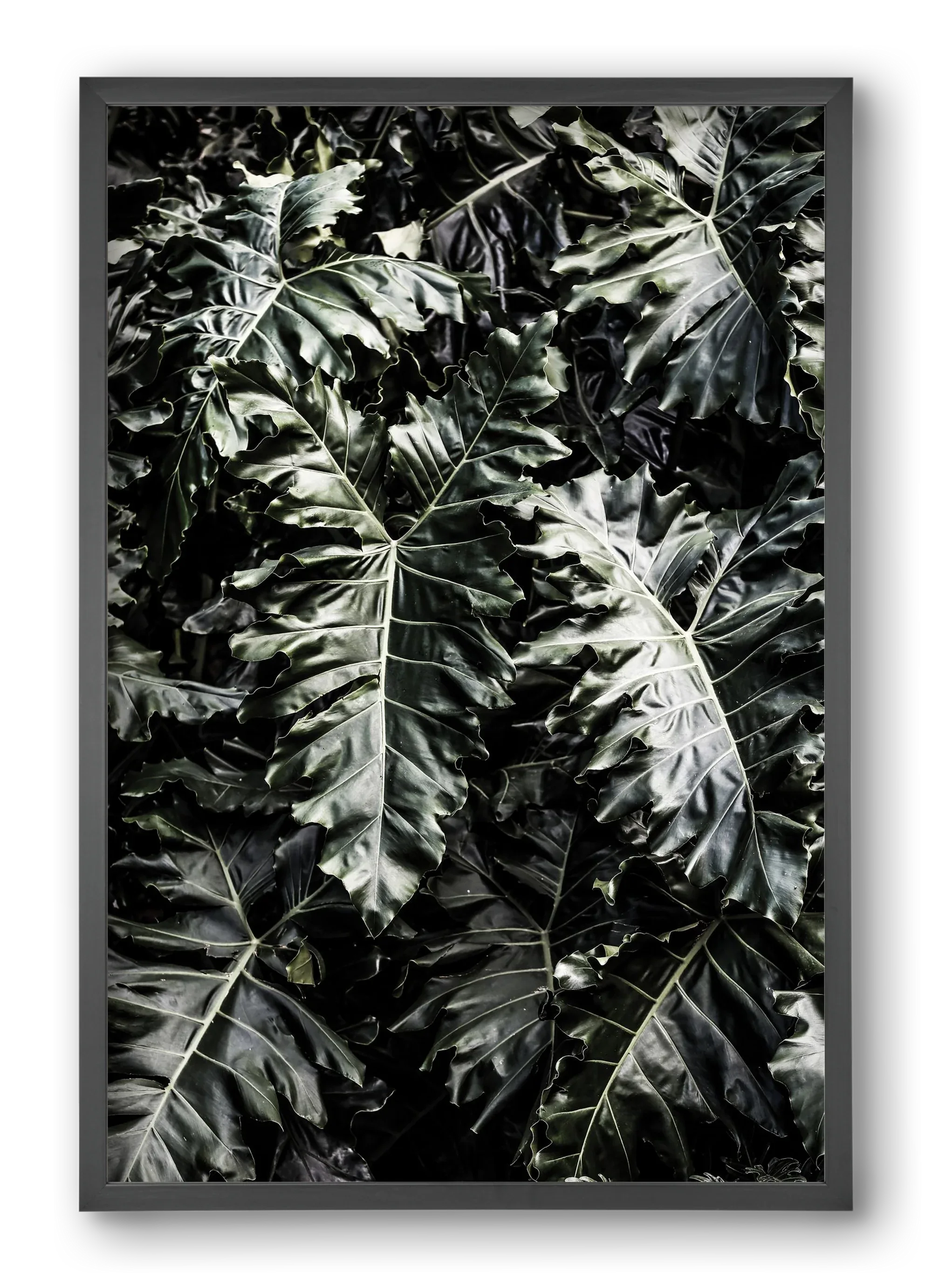 Monster - artbridge
