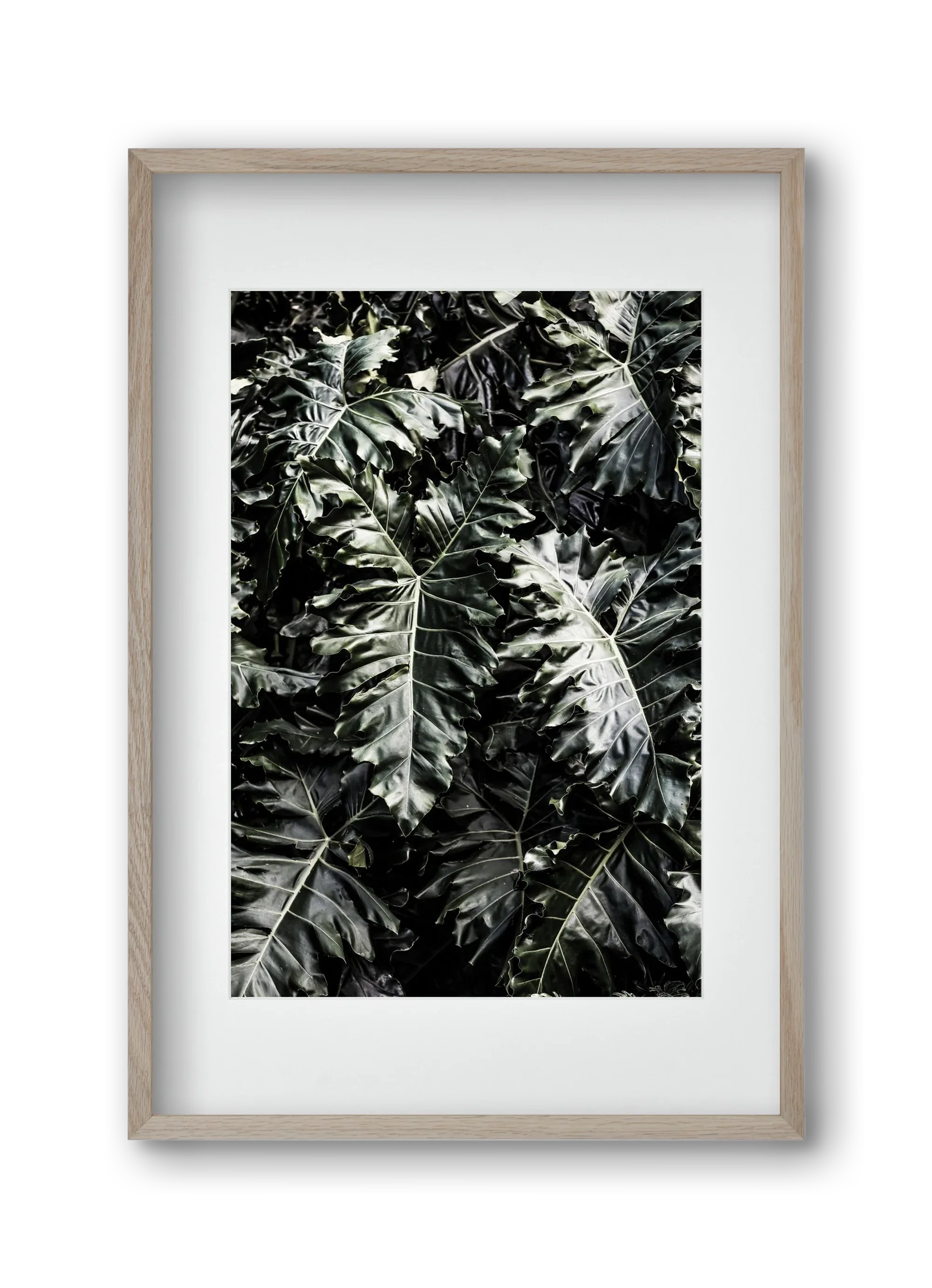 Monster - artbridge