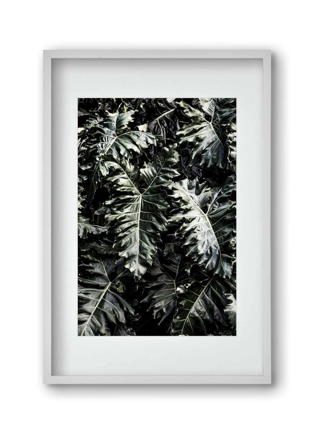 Monster - artbridge