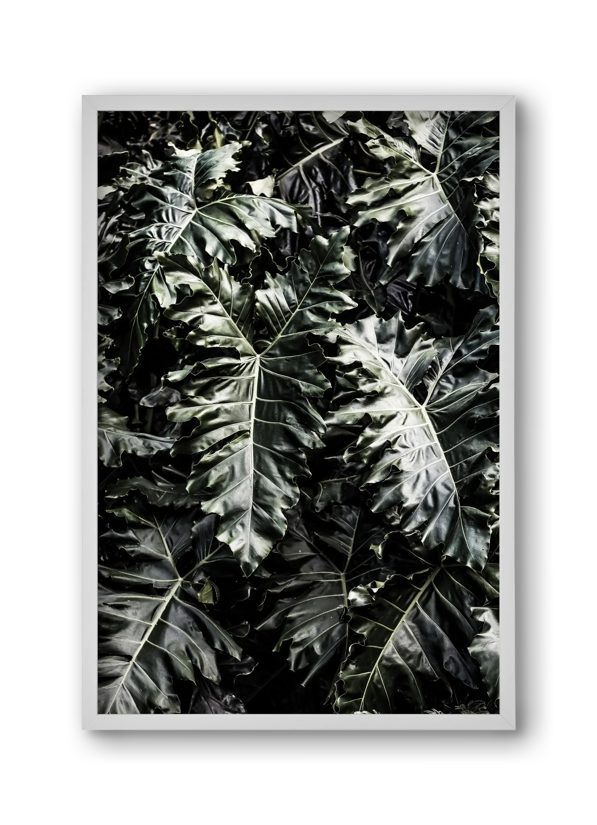 Monster - artbridge
