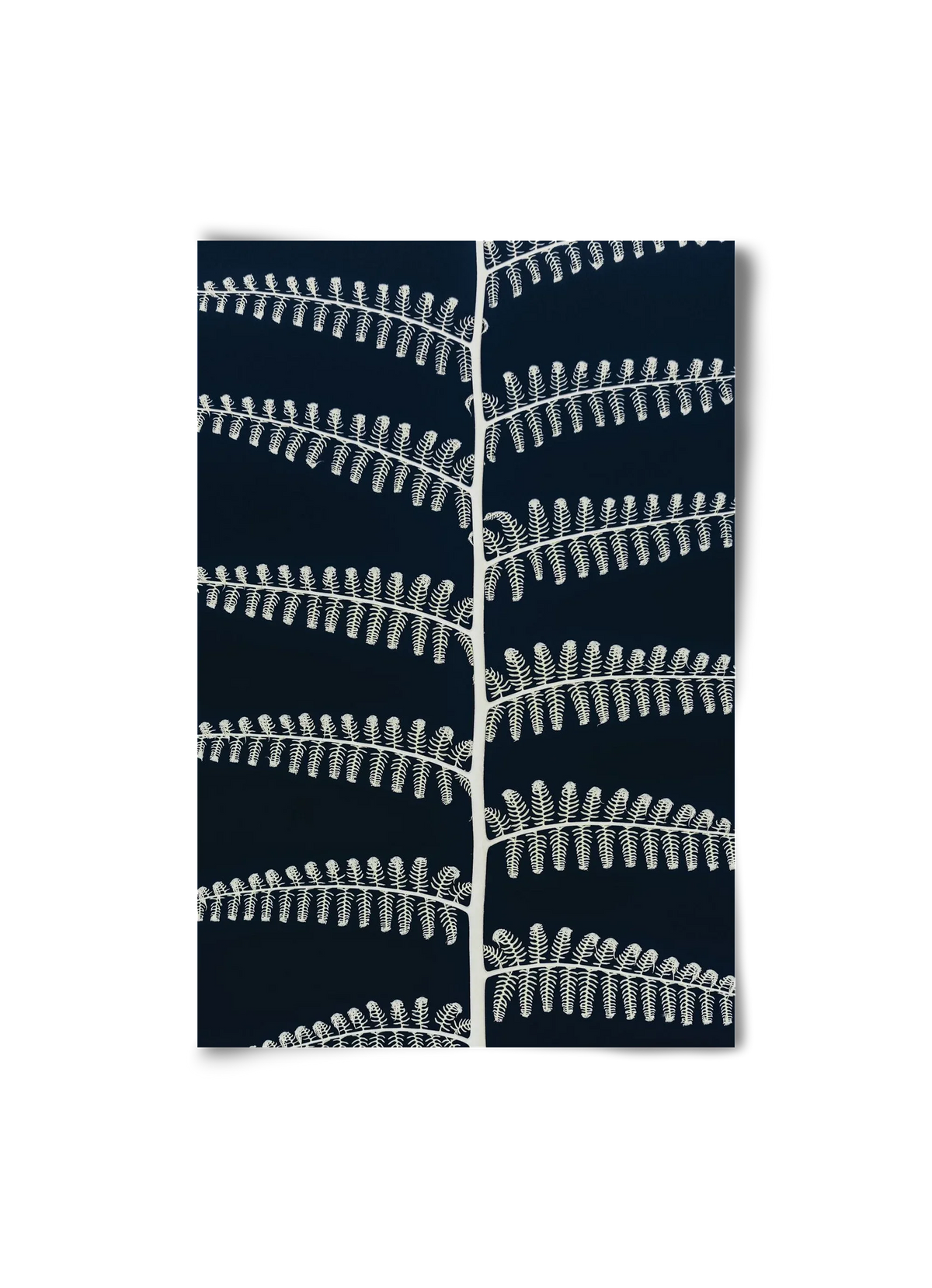 Fern - artbridge