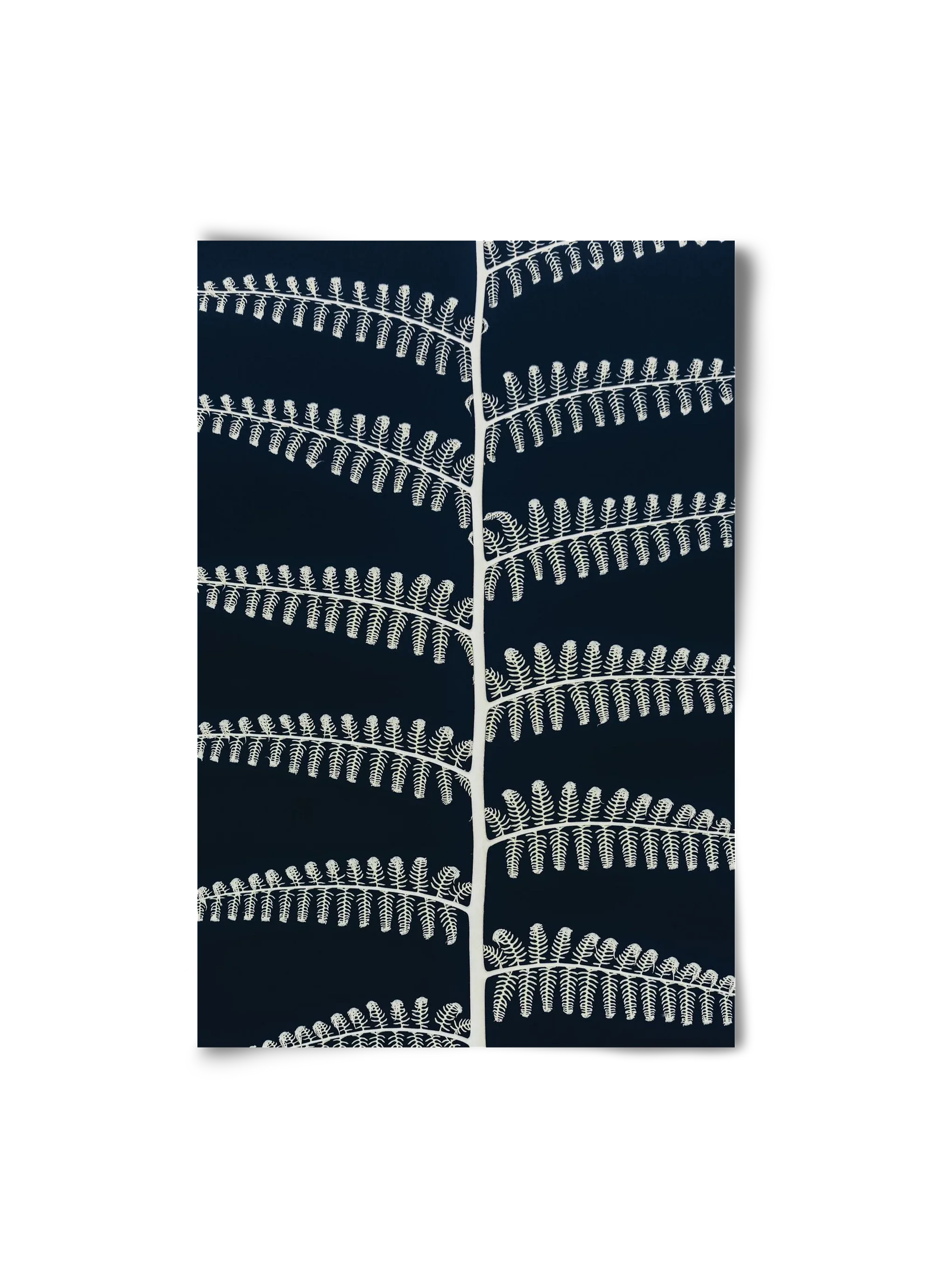 Fern - artbridge