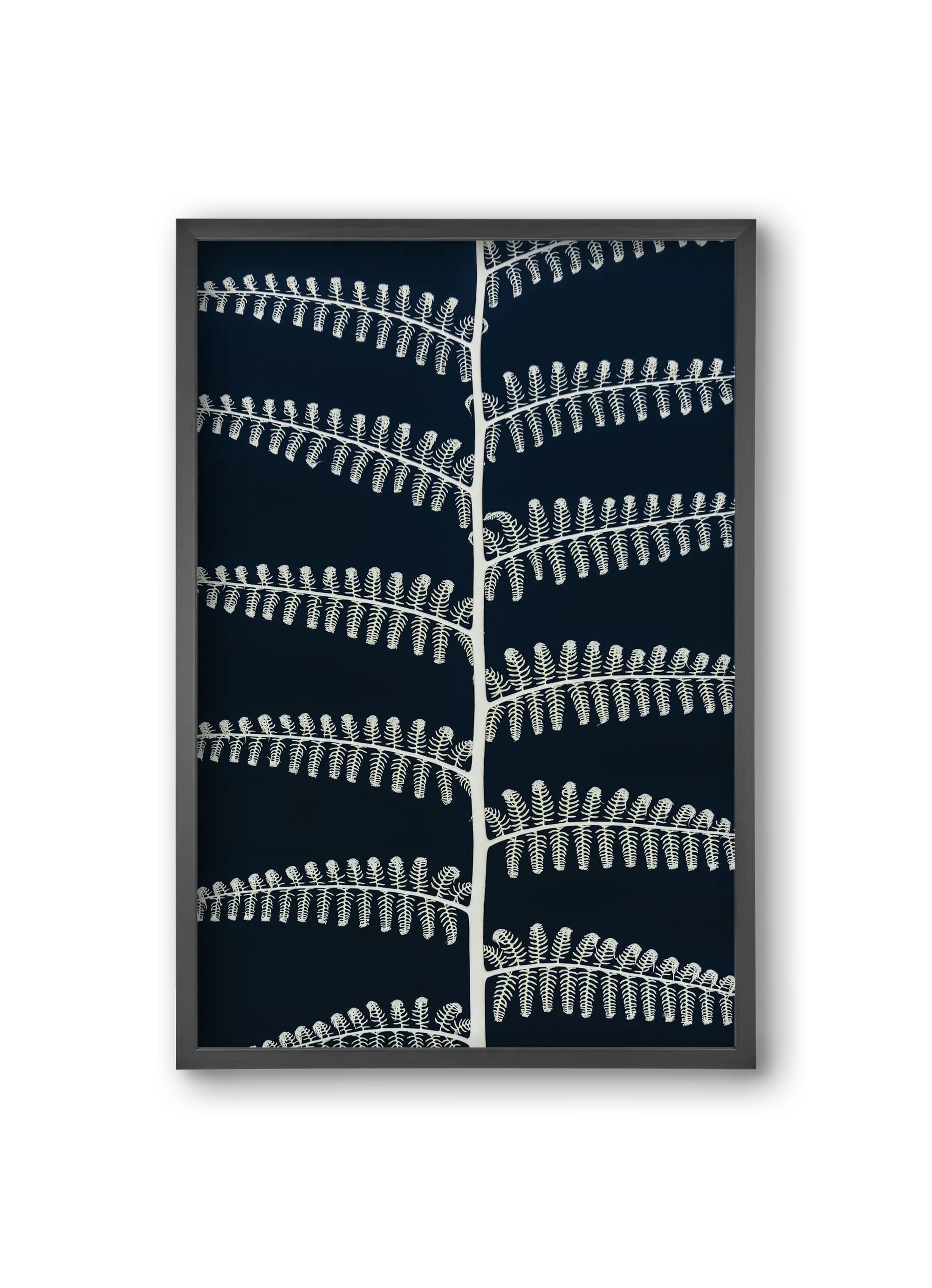 Fern - artbridge