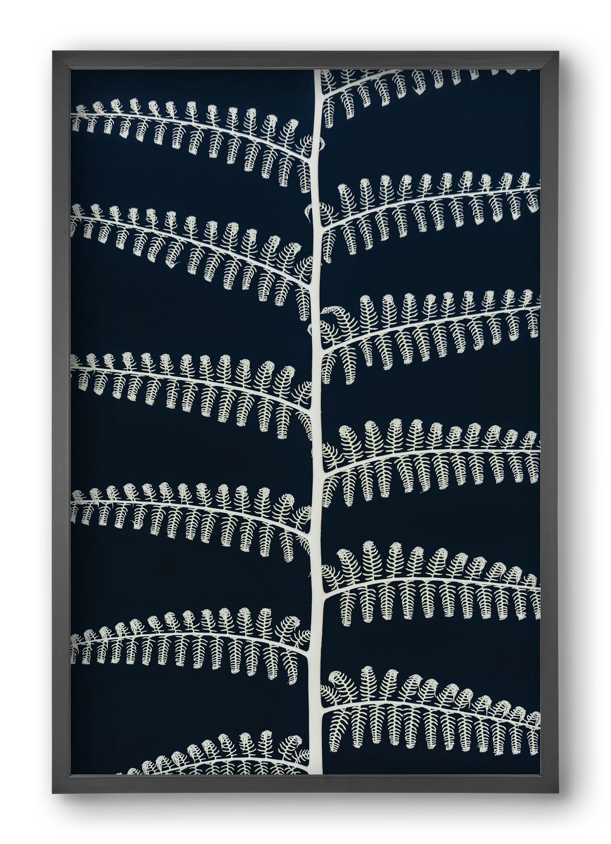Fern - artbridge