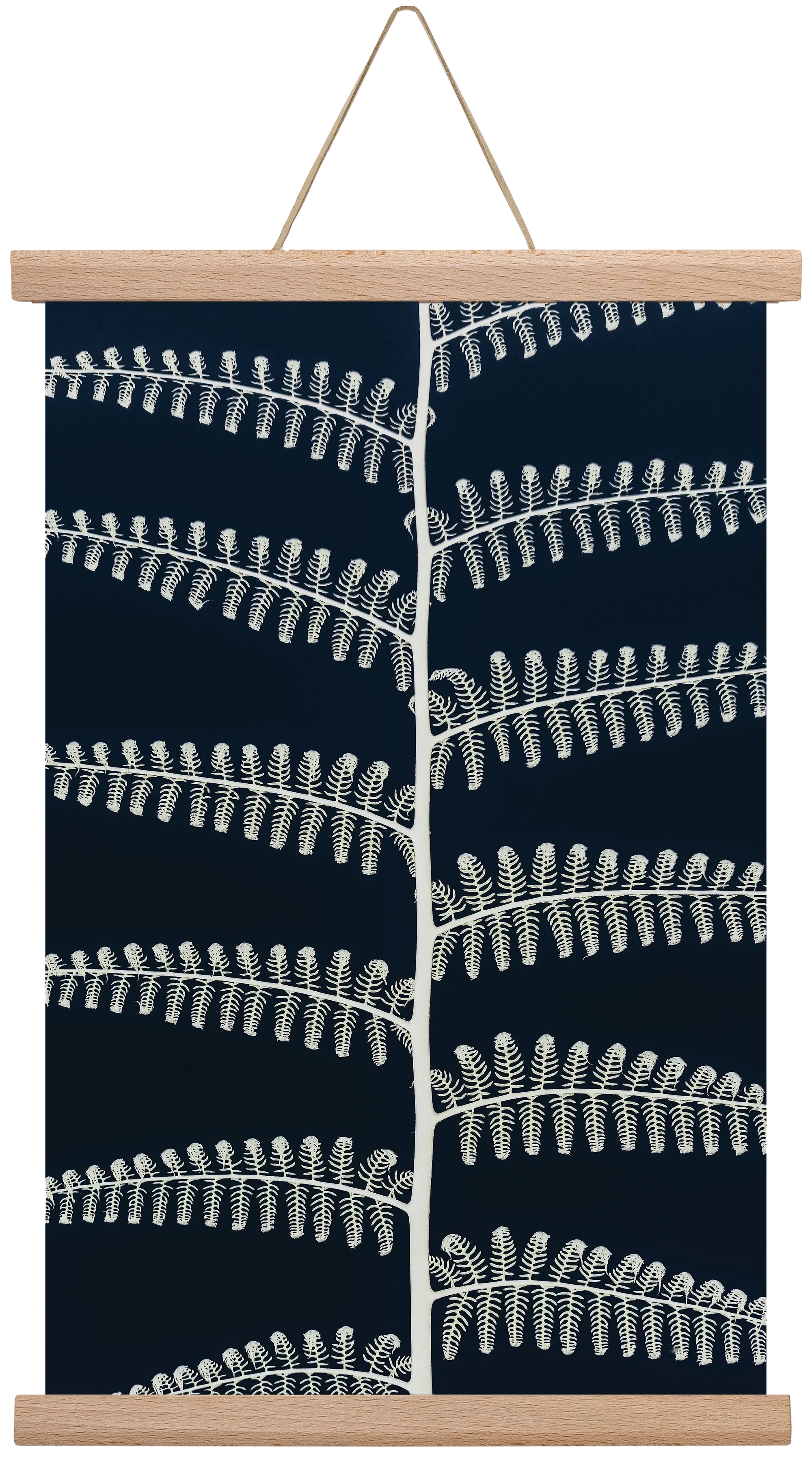 Fern - artbridge