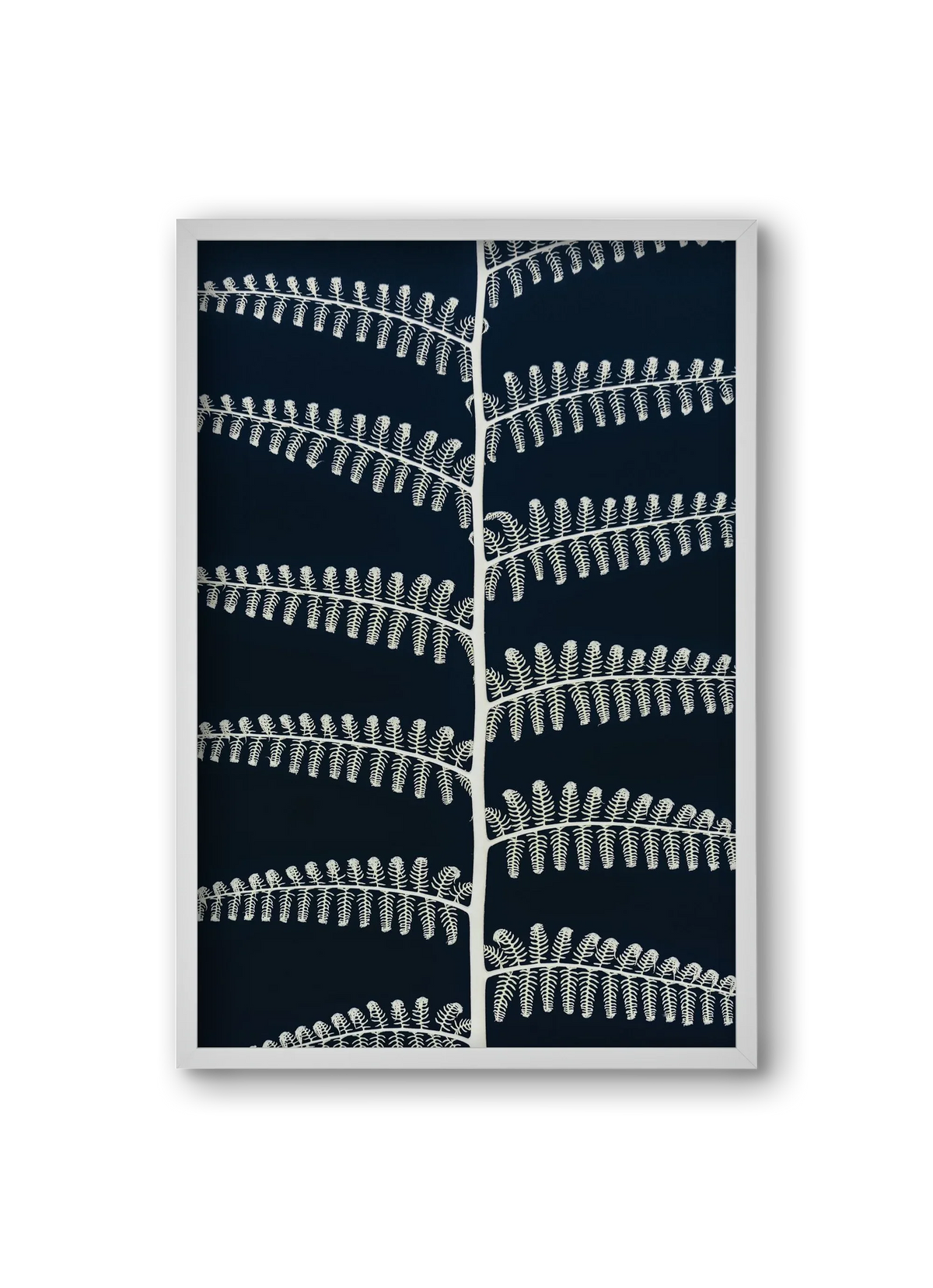 Fern - artbridge