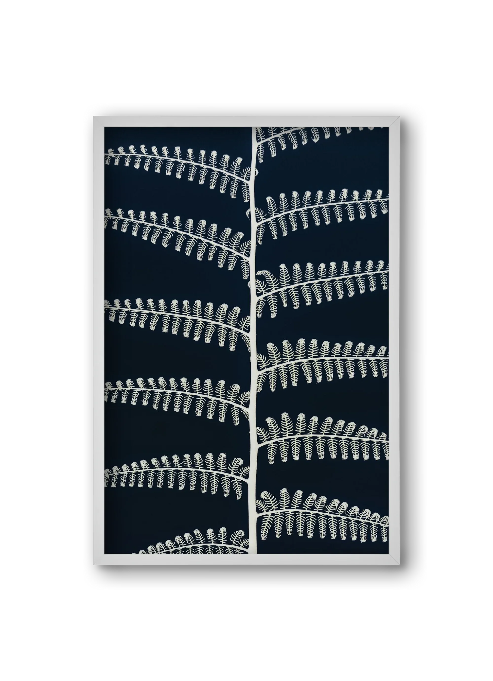 Fern - artbridge