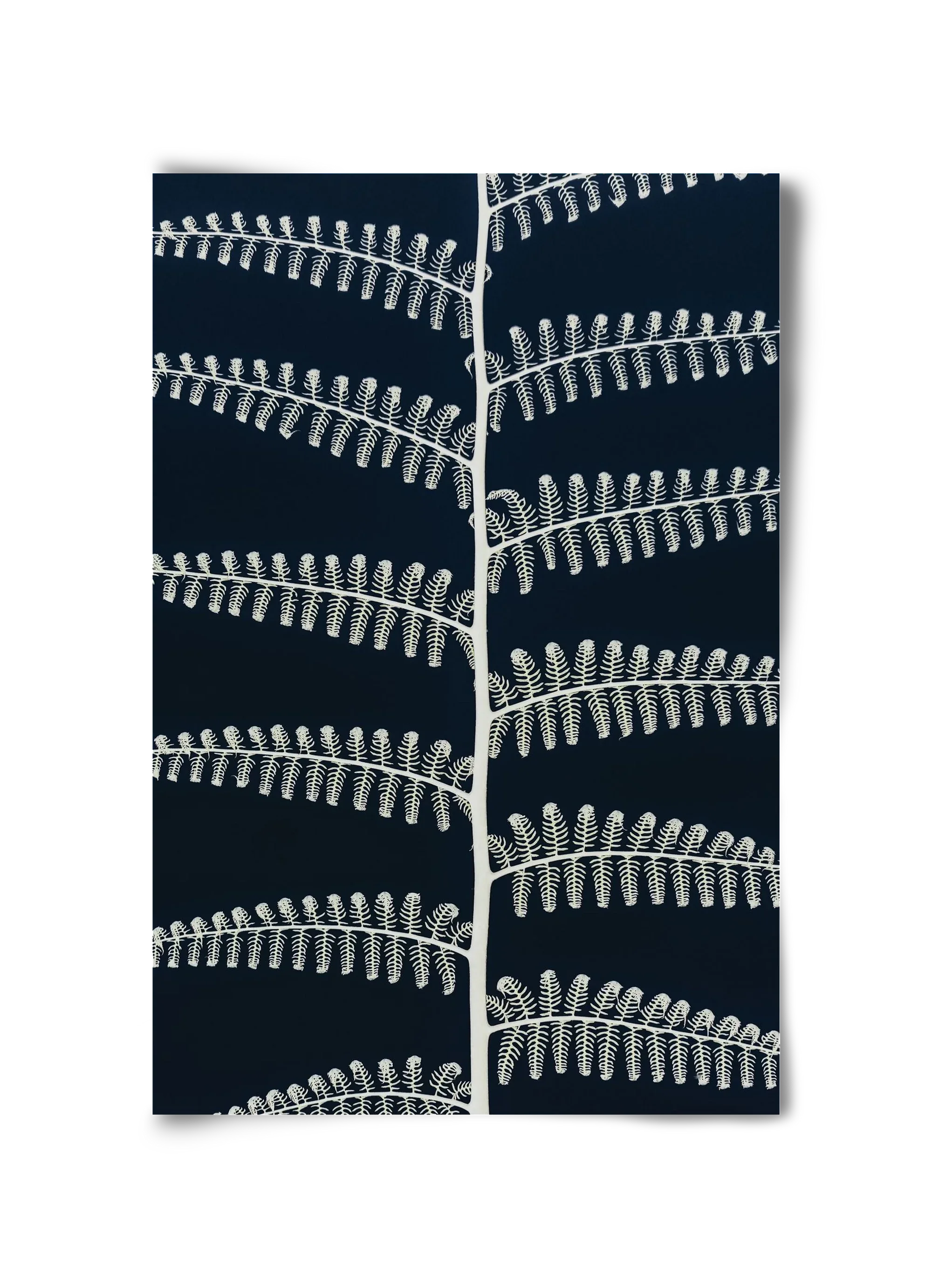 Fern - artbridge