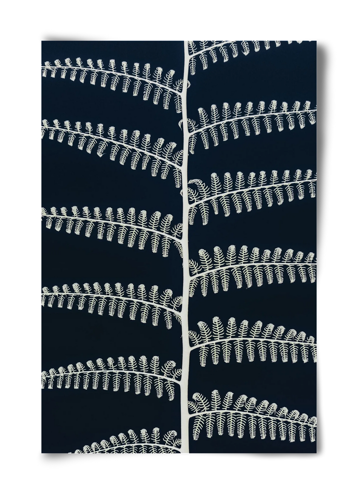 Fern - artbridge
