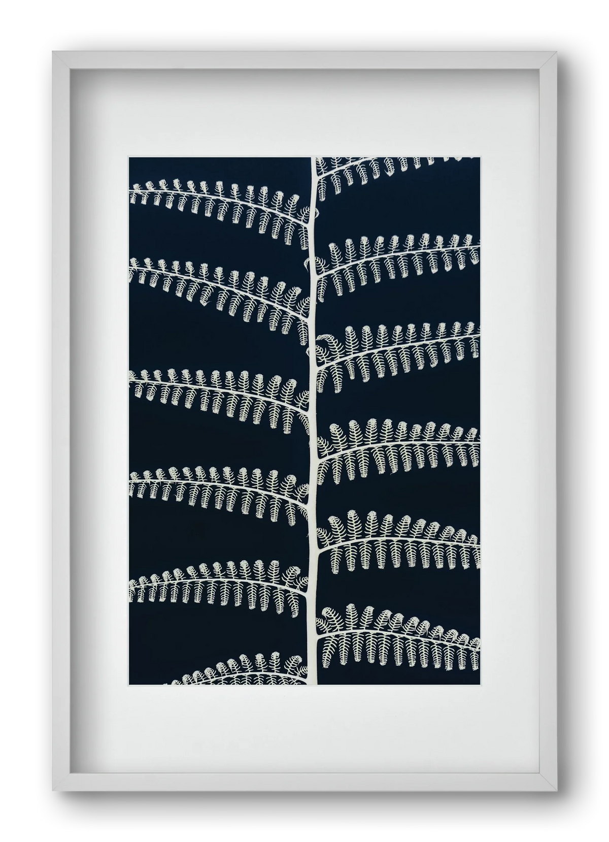 Fern - artbridge