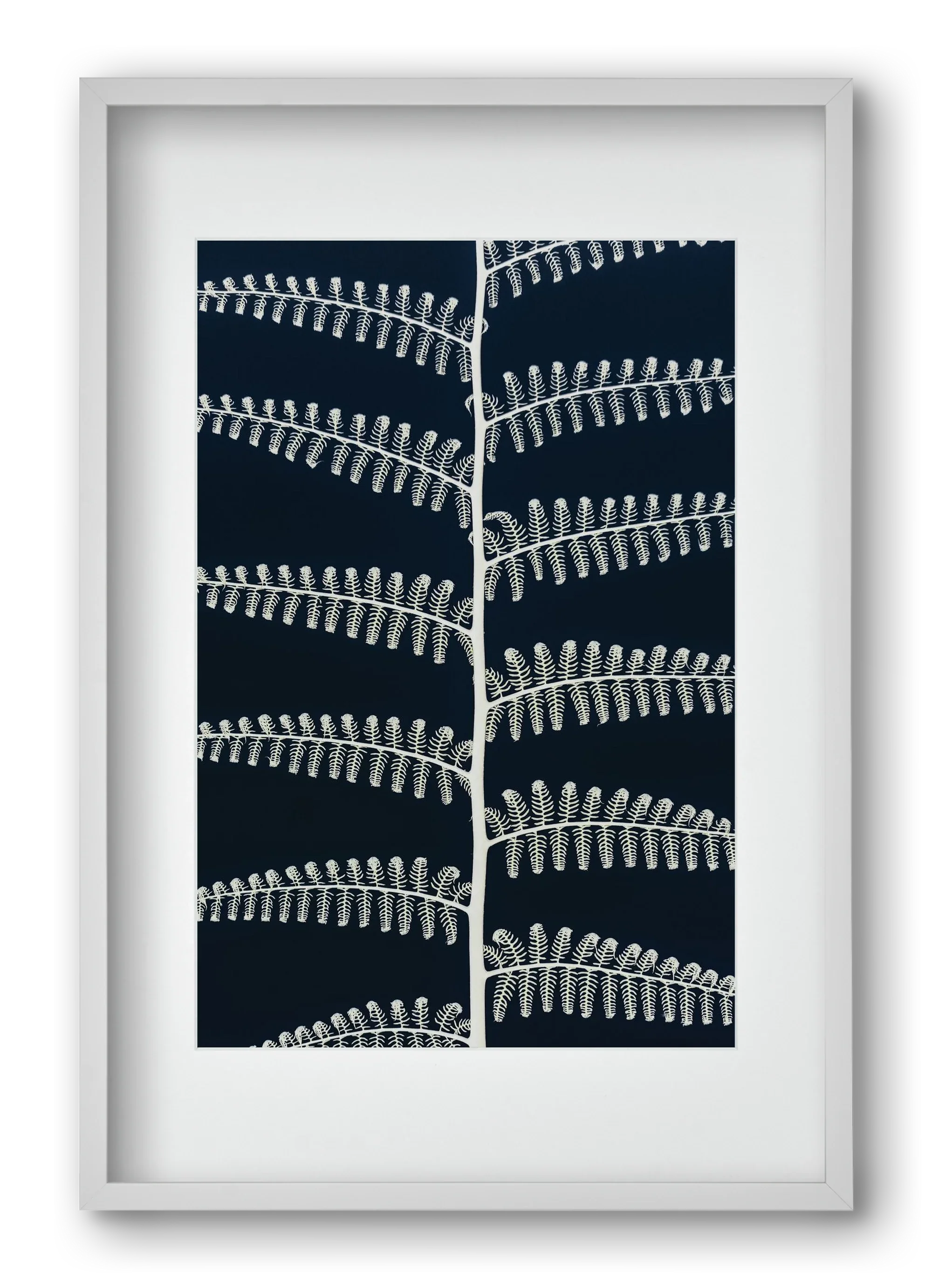 Fern - artbridge