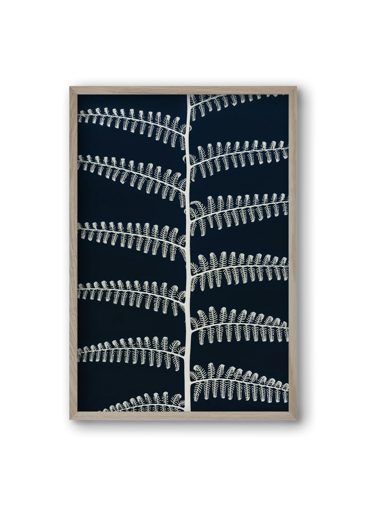Fern - artbridge