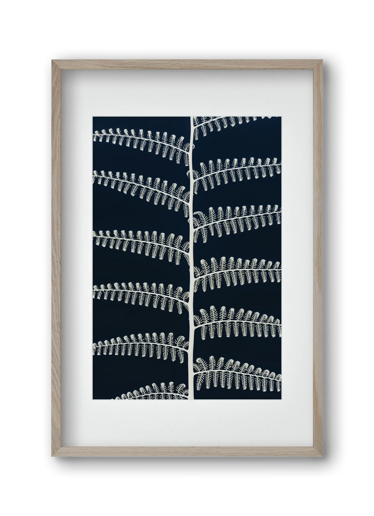Fern - artbridge
