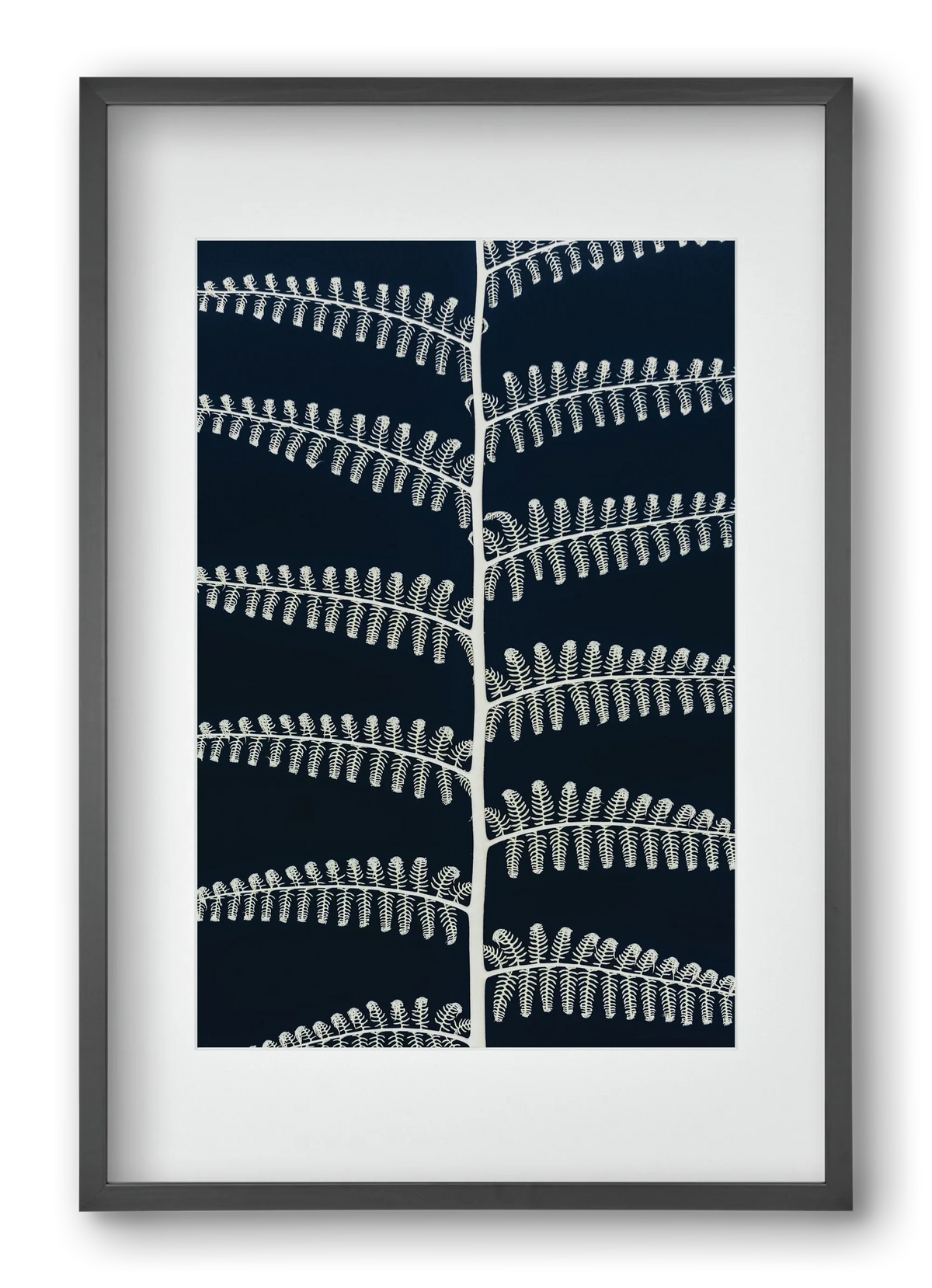 Fern - artbridge