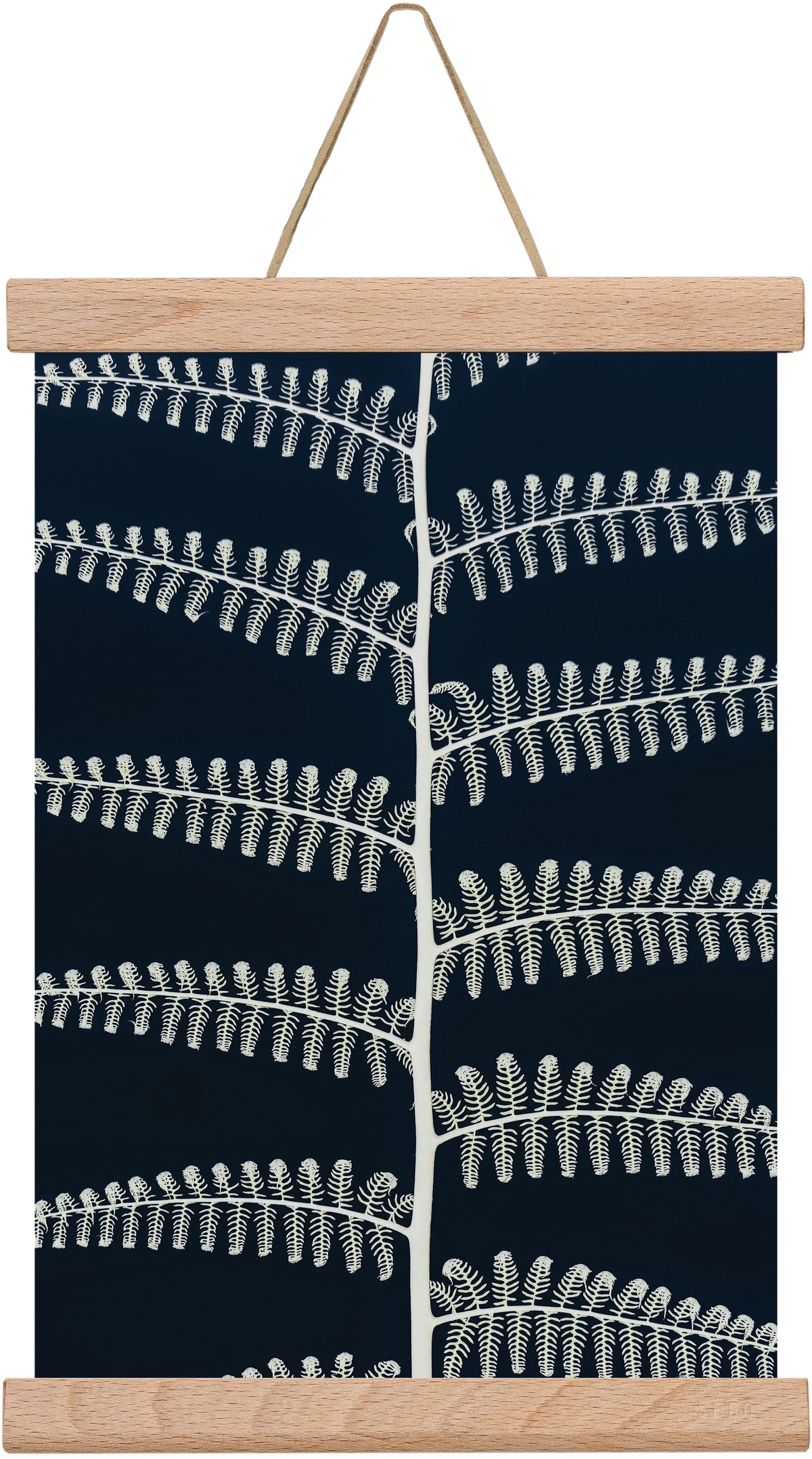 Fern - artbridge