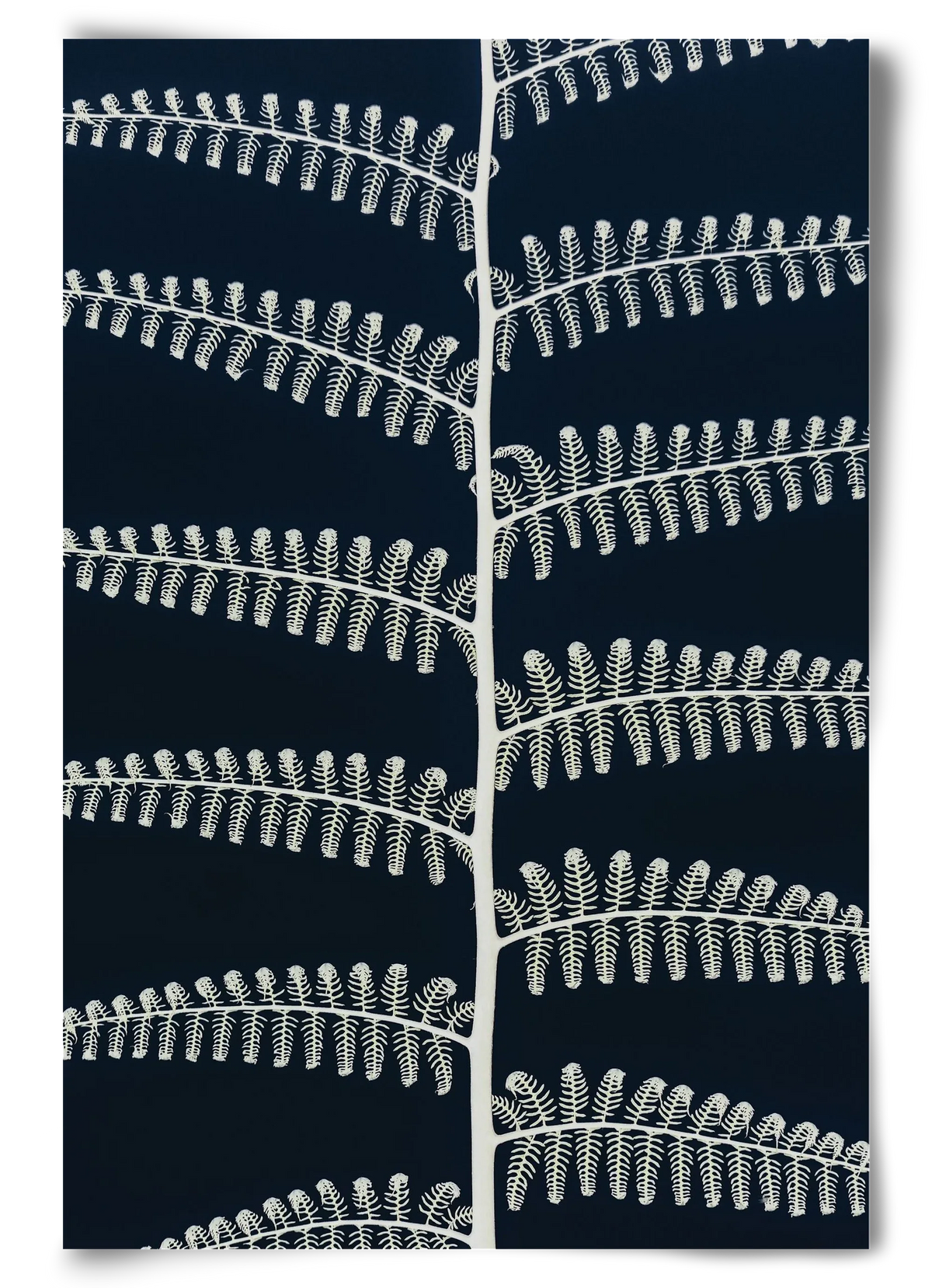 Fern - artbridge