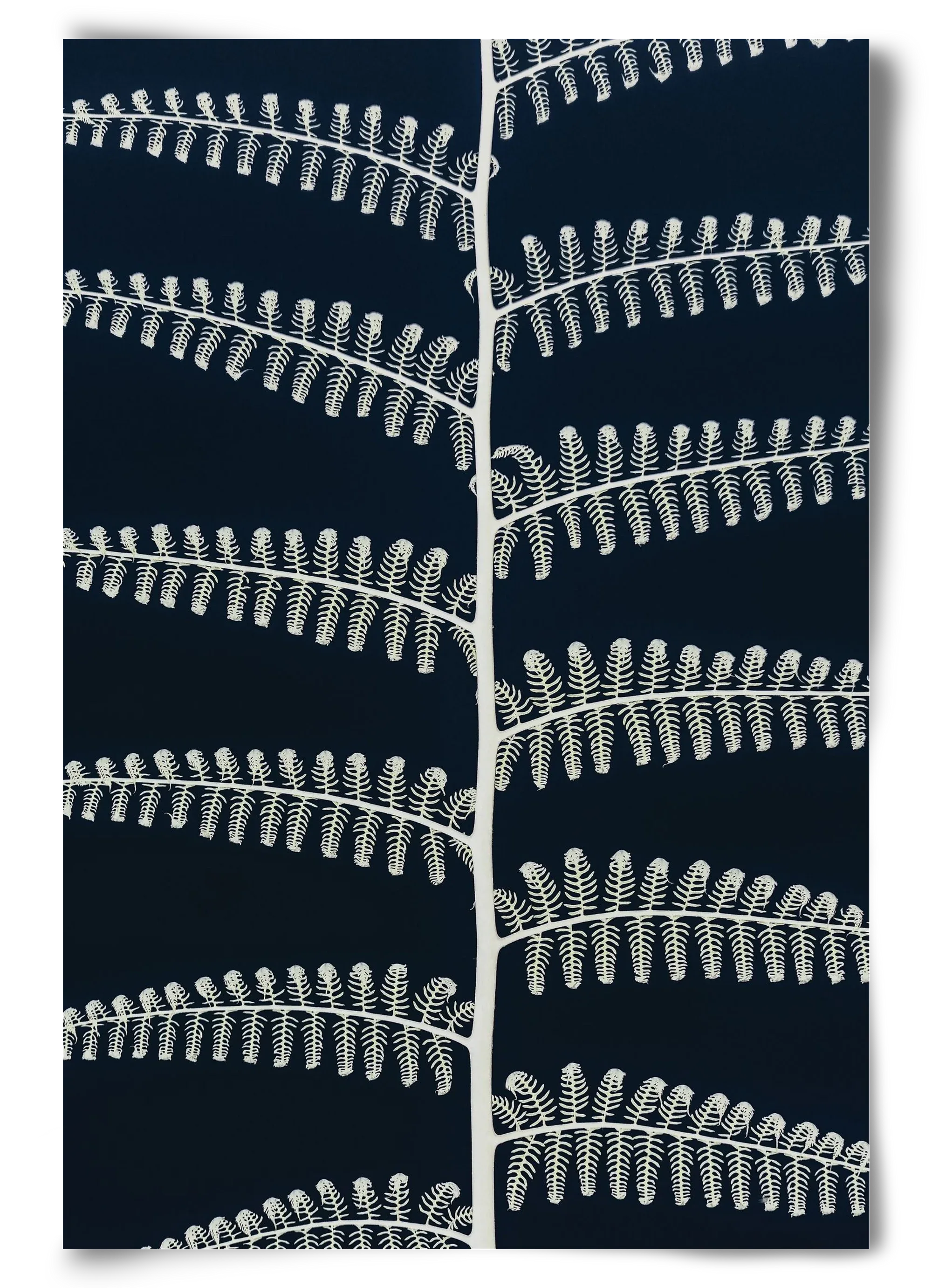 Fern - artbridge