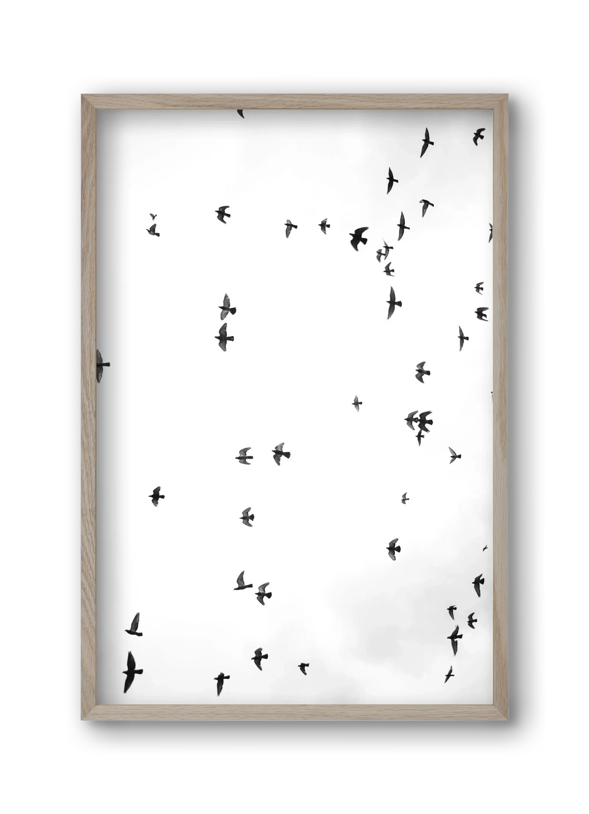 Flight and freedom - artbridge