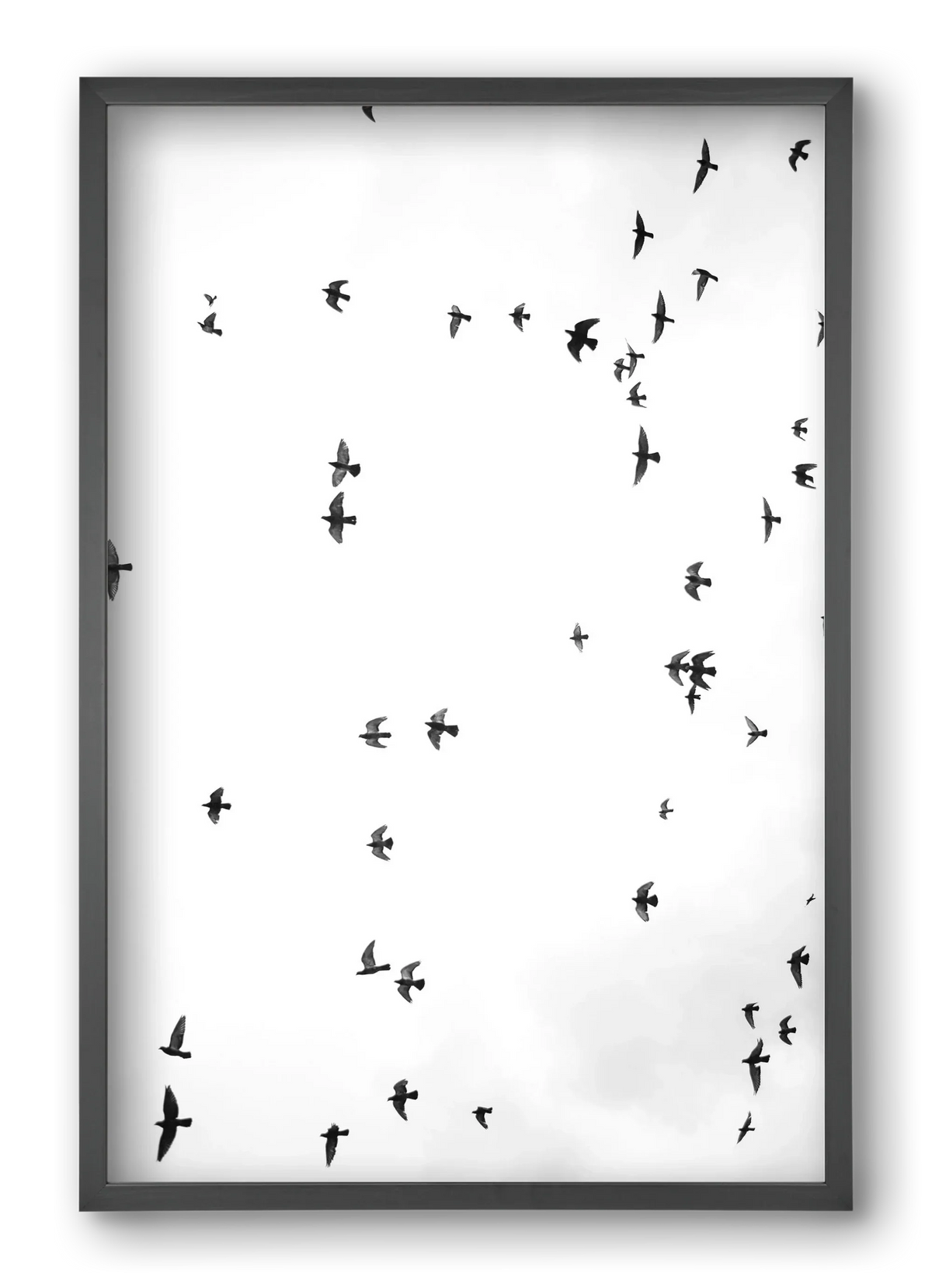 Flight and freedom - artbridge