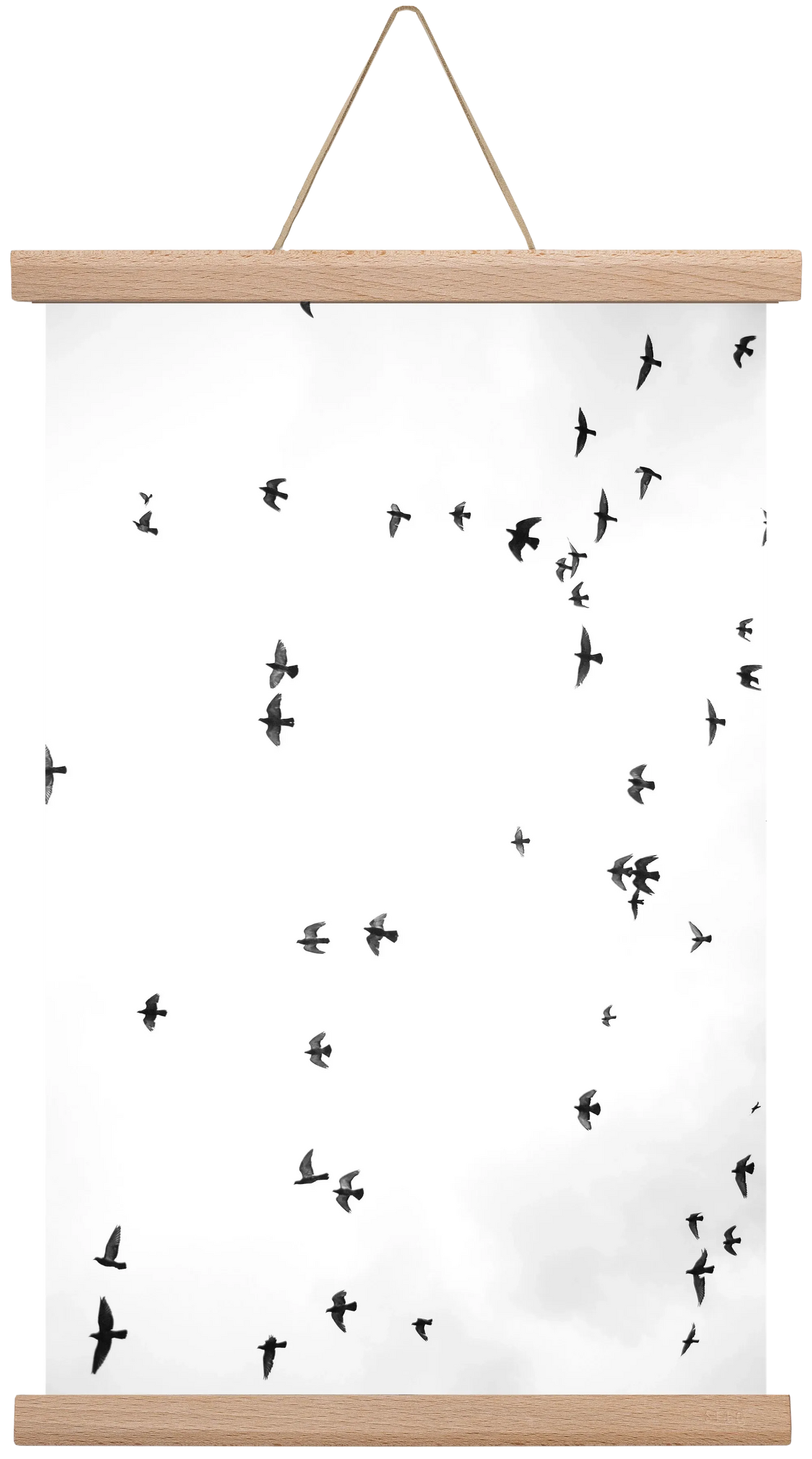 Flight and freedom - artbridge