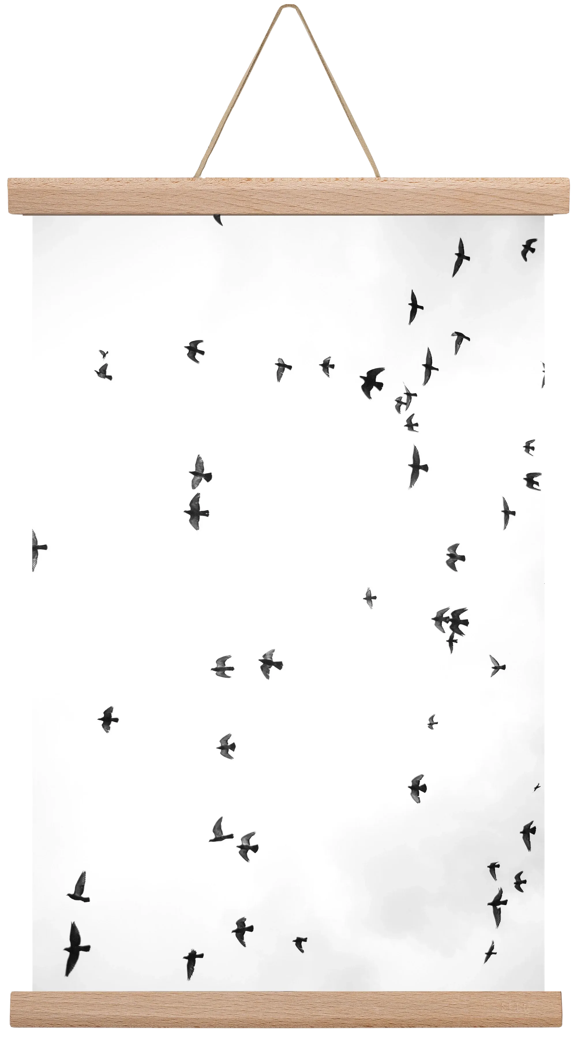 Flight and freedom - artbridge