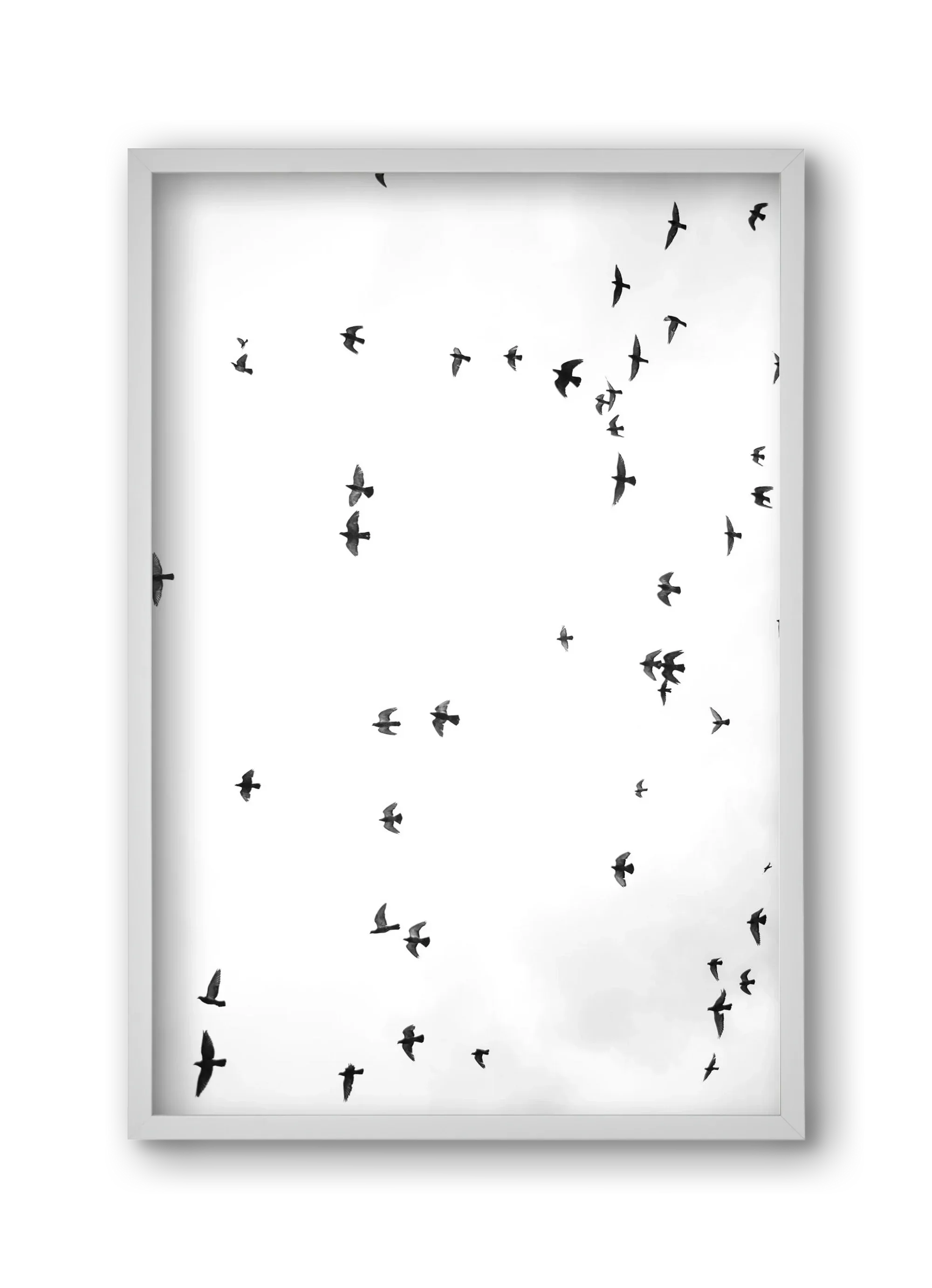 Flight and freedom - artbridge