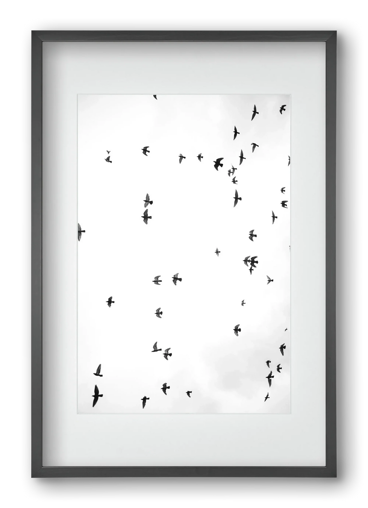 Flight and freedom - artbridge