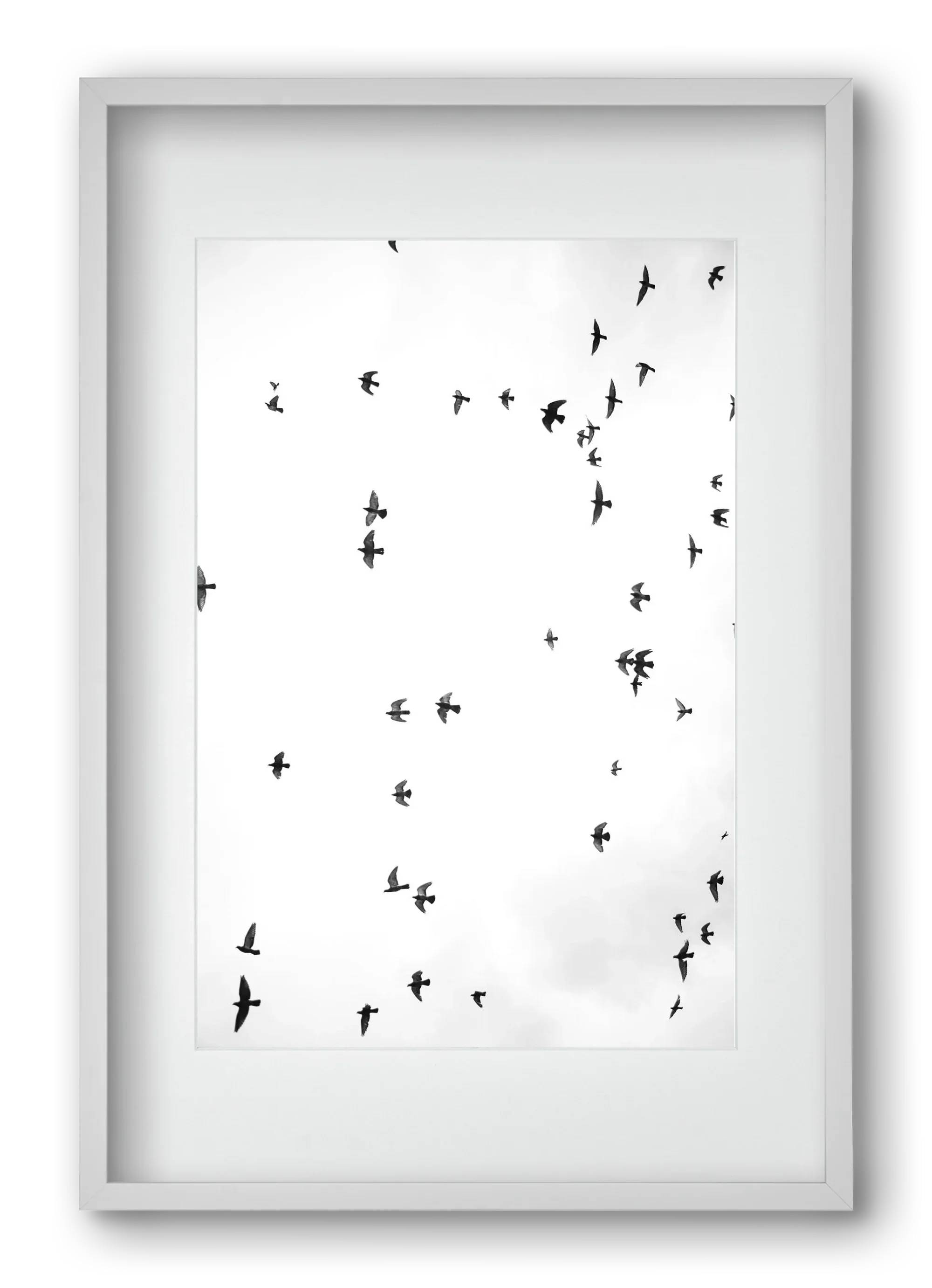 Flight and freedom - artbridge