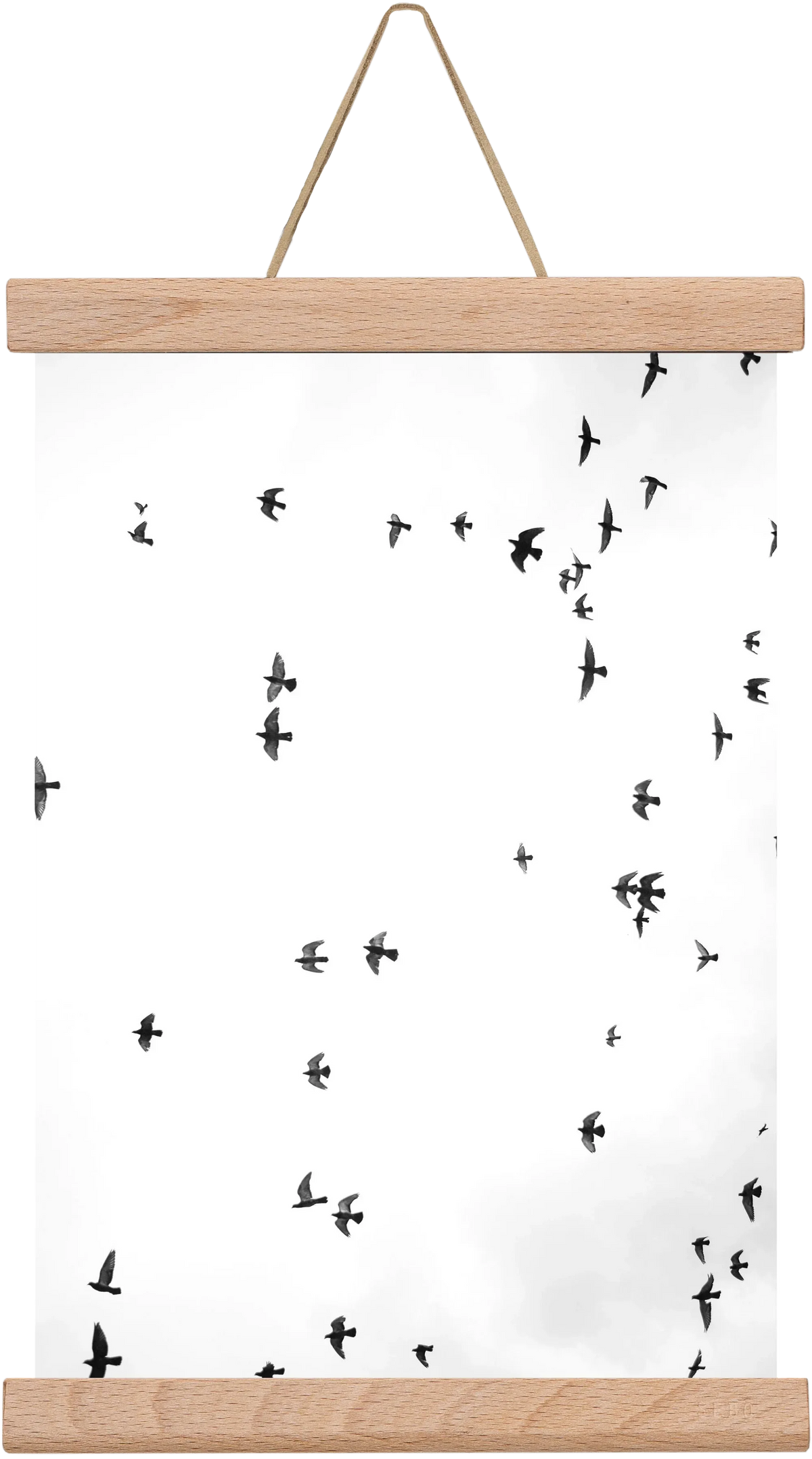Flight and freedom - artbridge