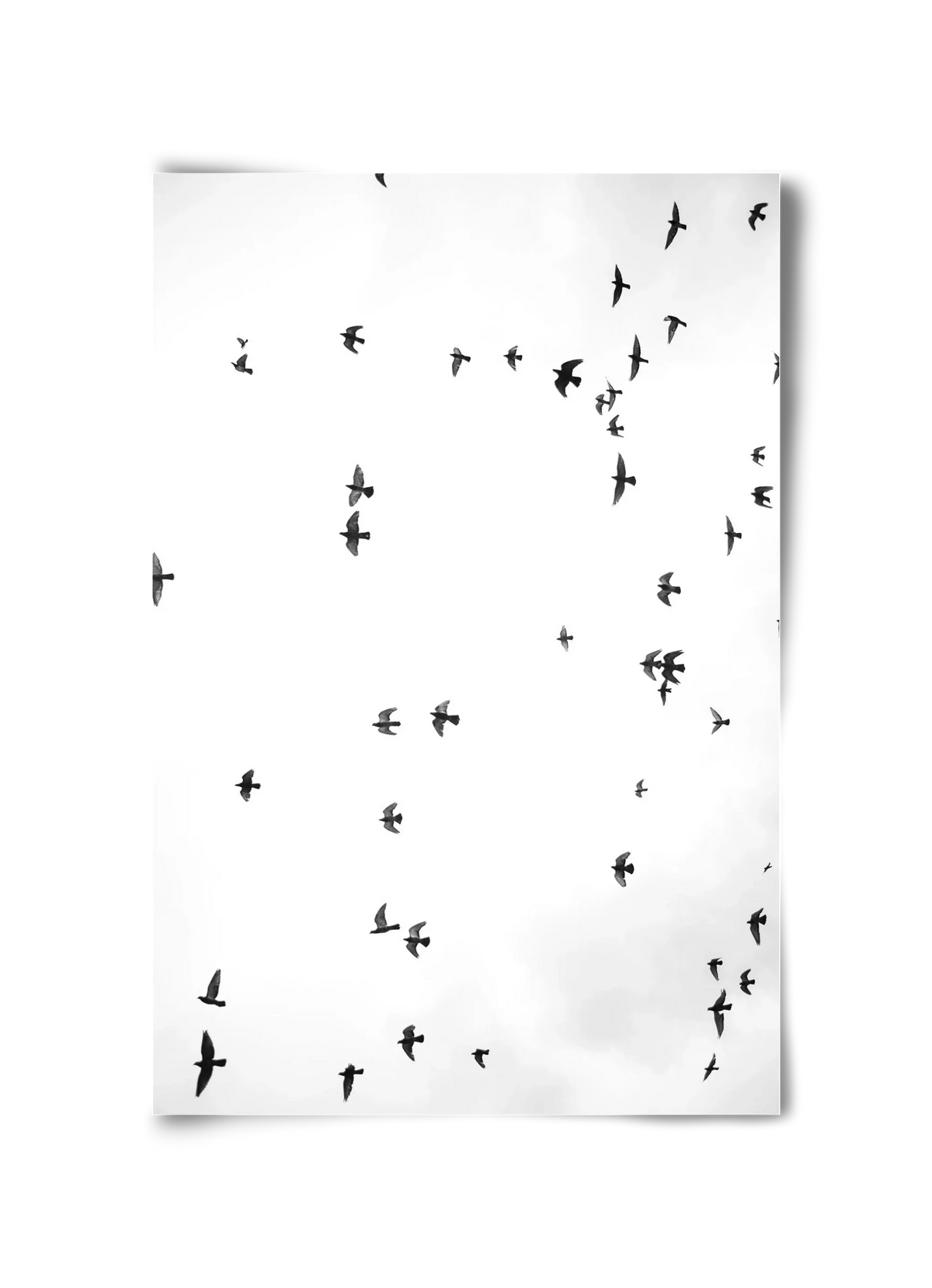 Flight and freedom - artbridge