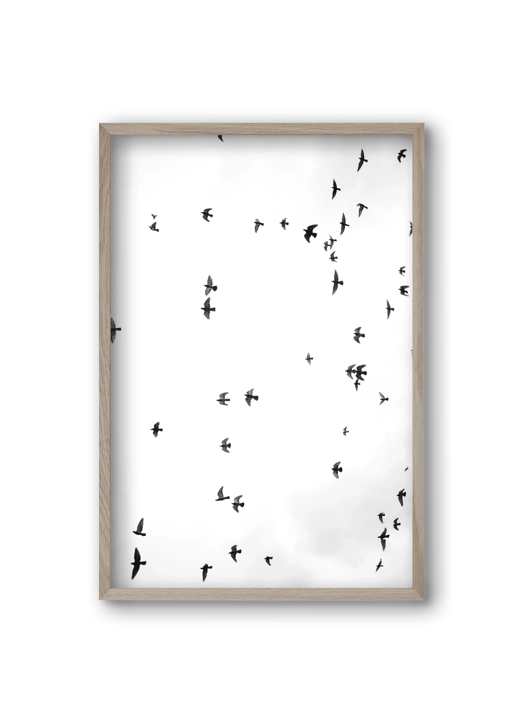 Flight and freedom - artbridge