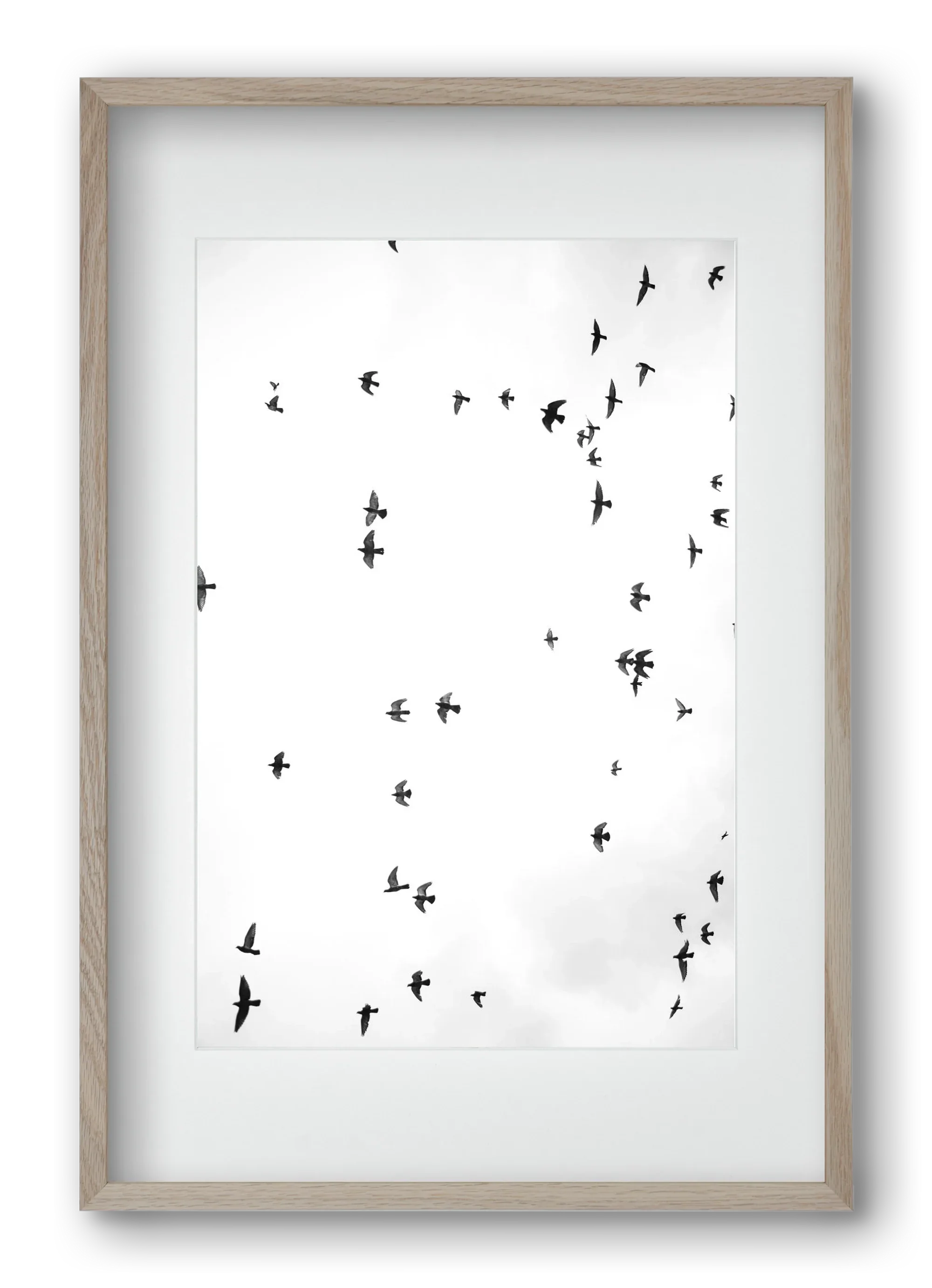 Flight and freedom - artbridge