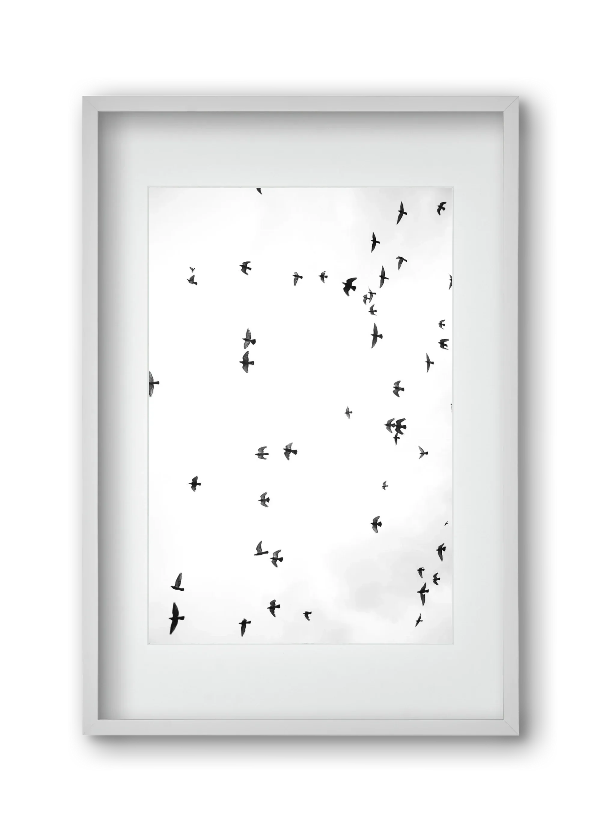 Flight and freedom - artbridge