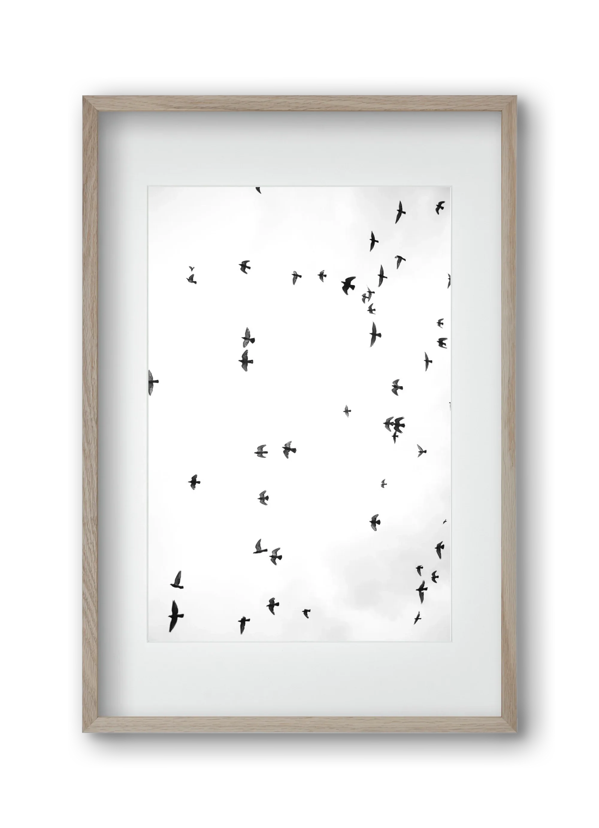 Flight and freedom - artbridge