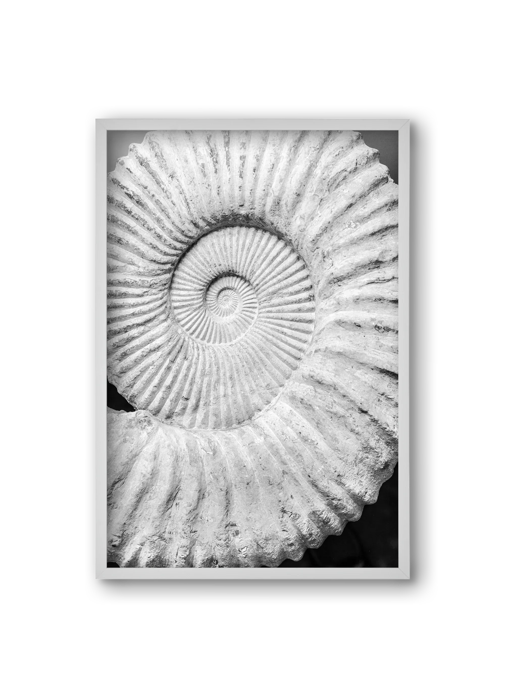 Formula - artbridge
