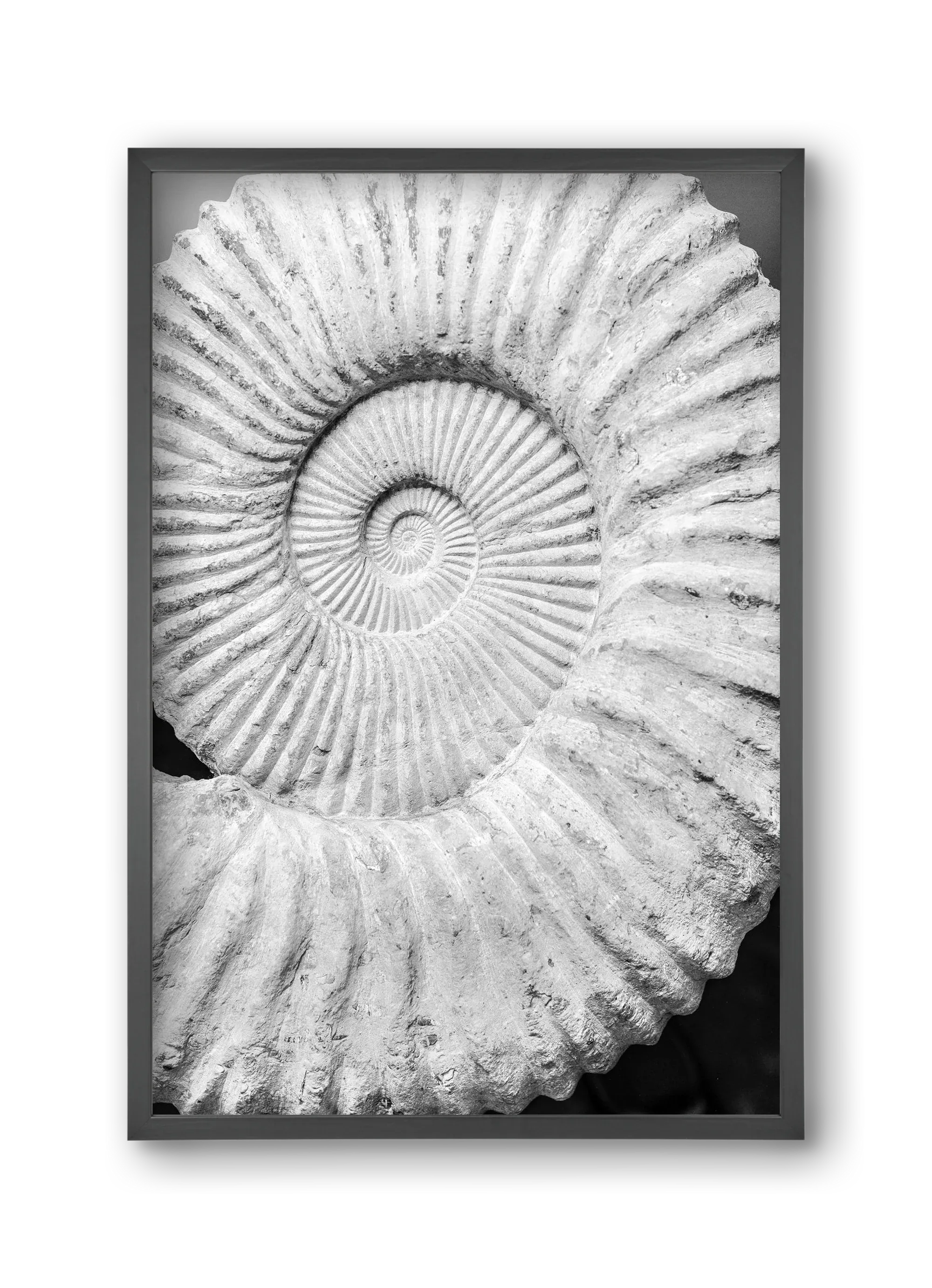 Formula - artbridge