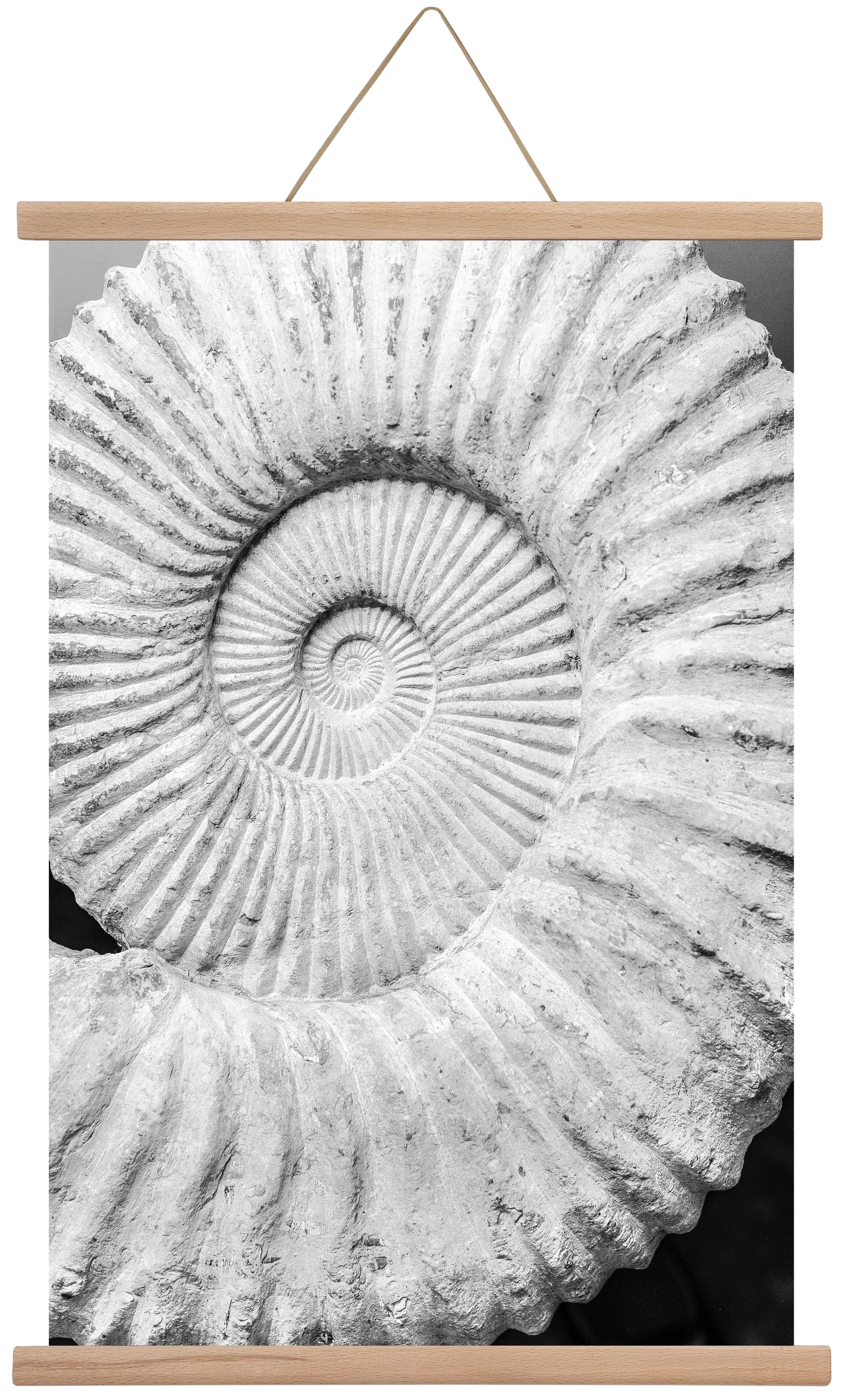 Formula - artbridge
