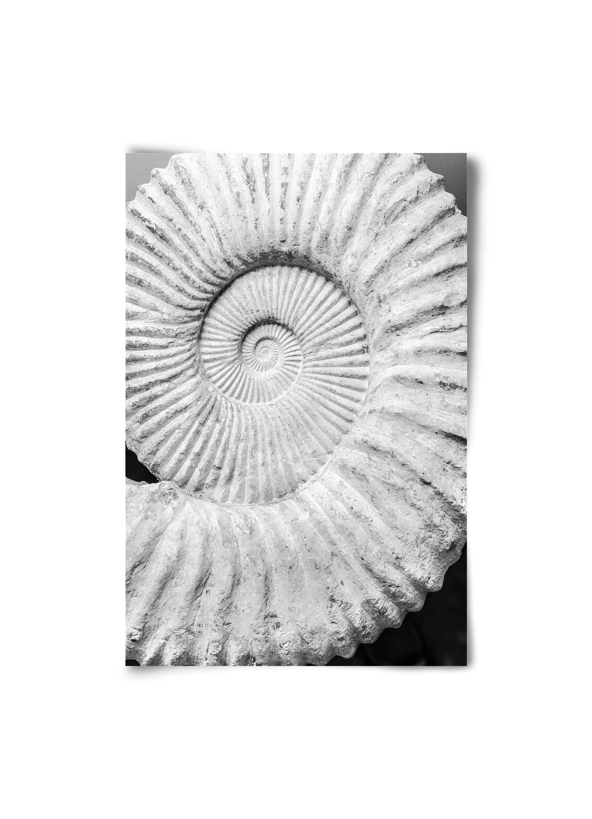 Formula - artbridge